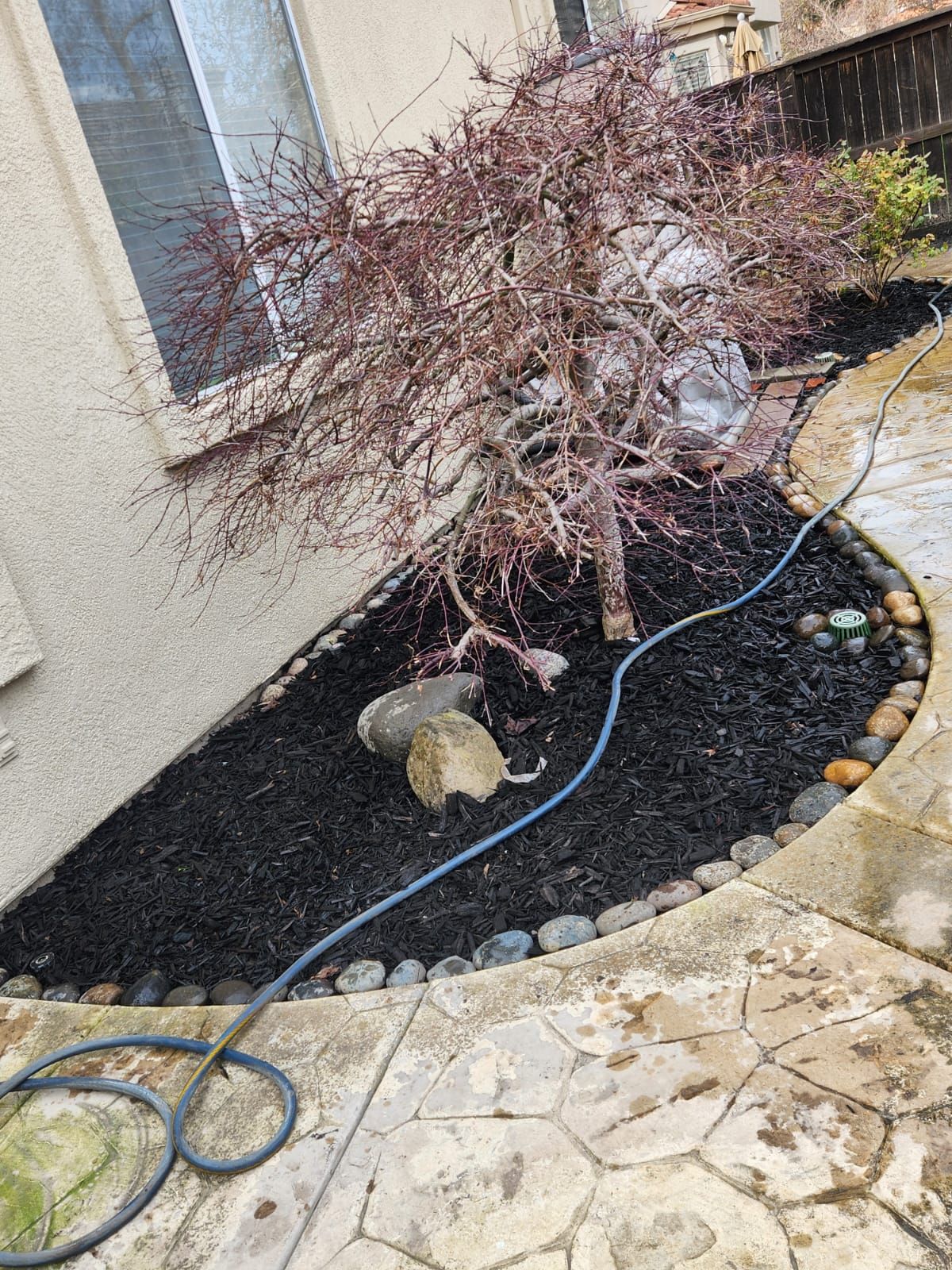  for Vargas LANSCAPE LLC in Stockton, CA