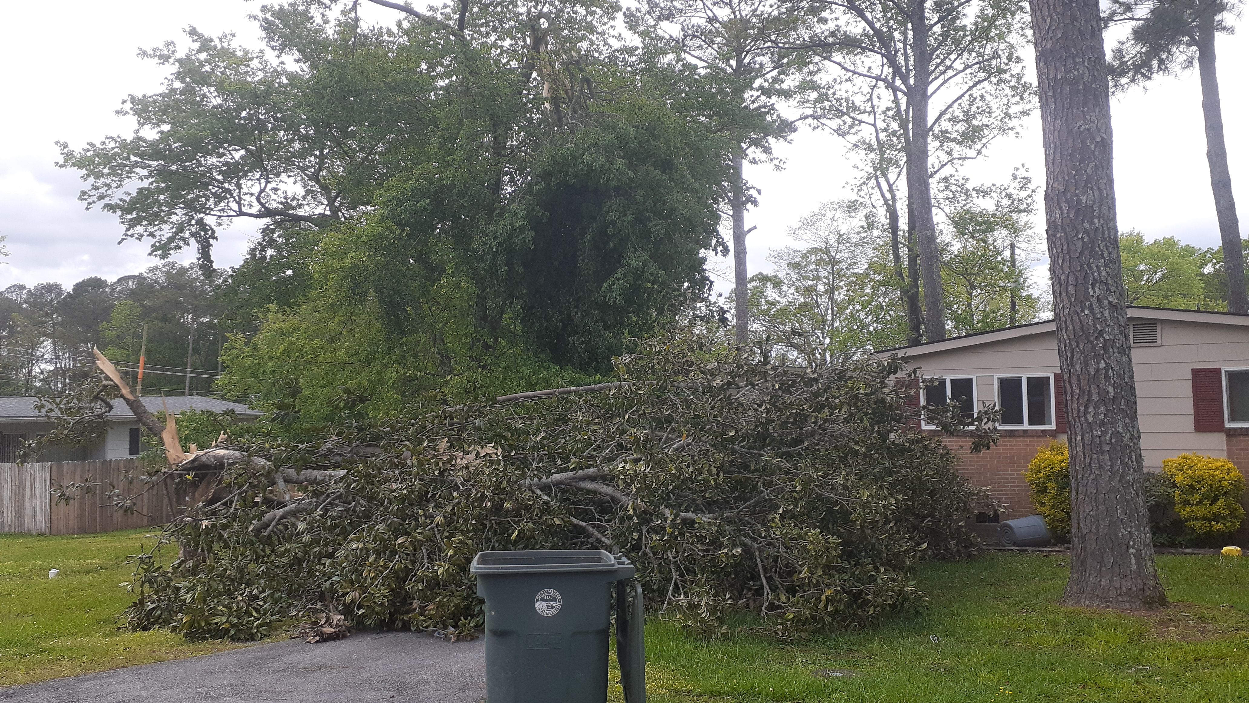  for Professional Tree Service USA in Chattanooga, TN