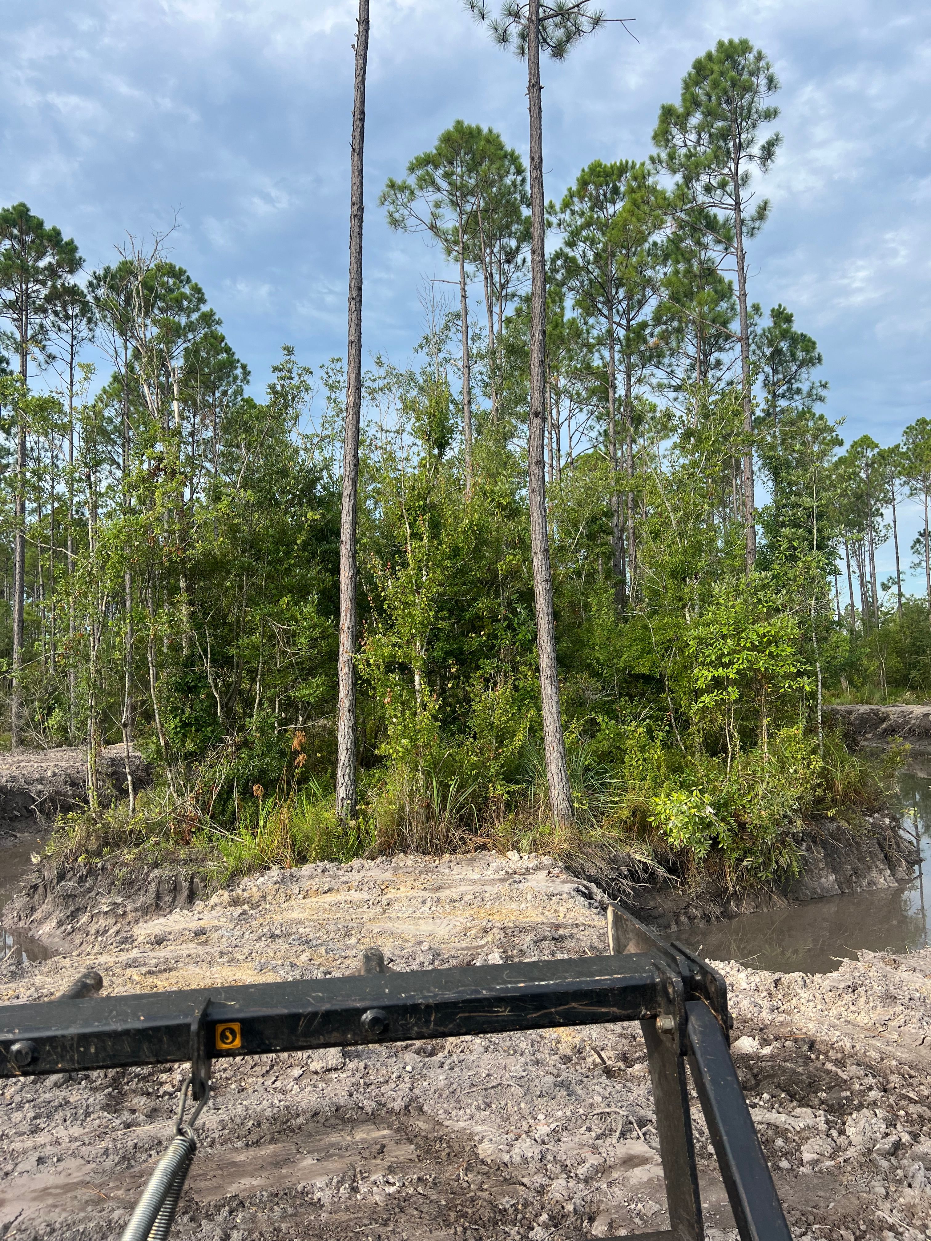  for Bay Hill Development in Nahunta, GA