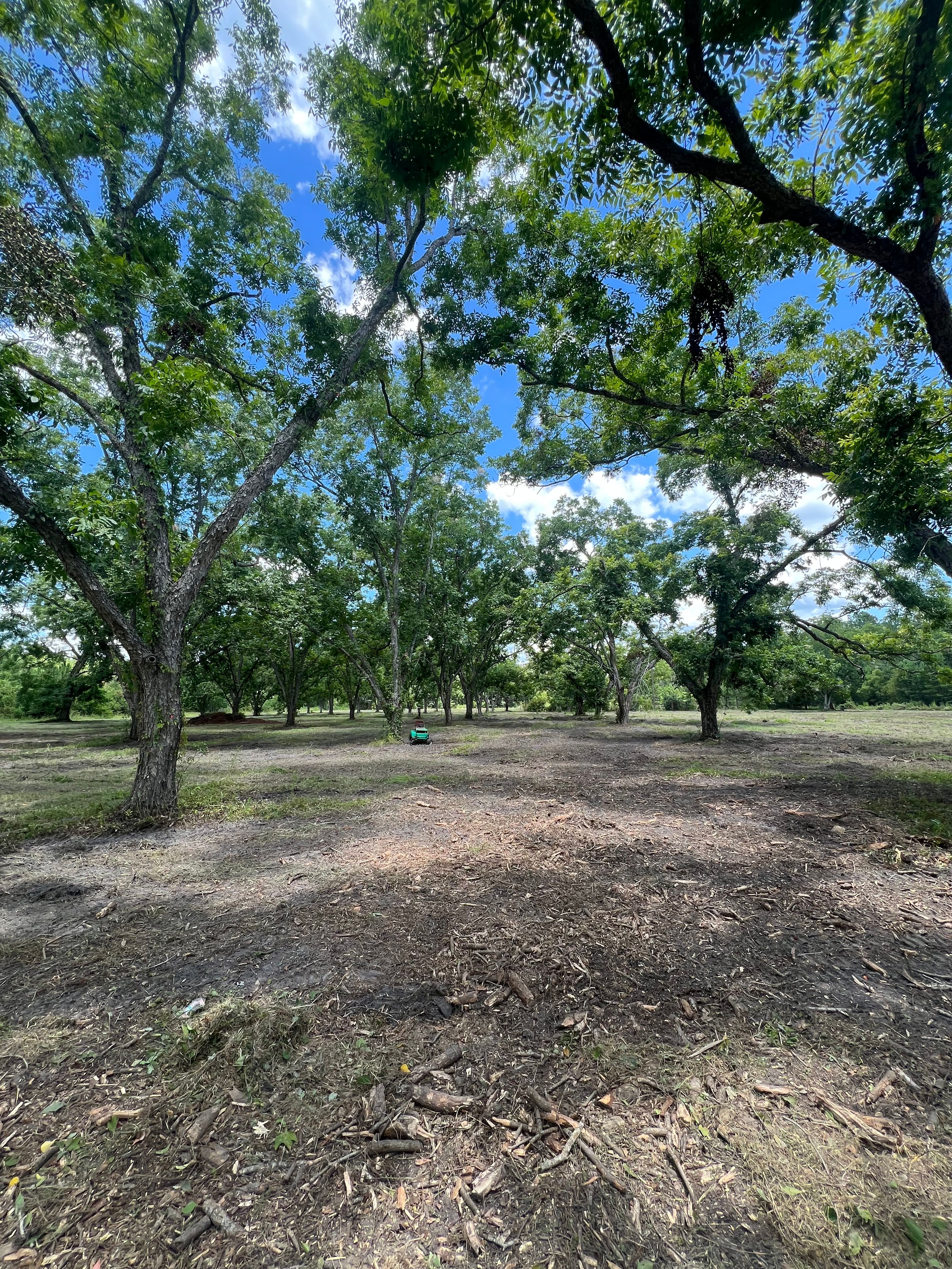  for Bay Hill Development in Nahunta, GA