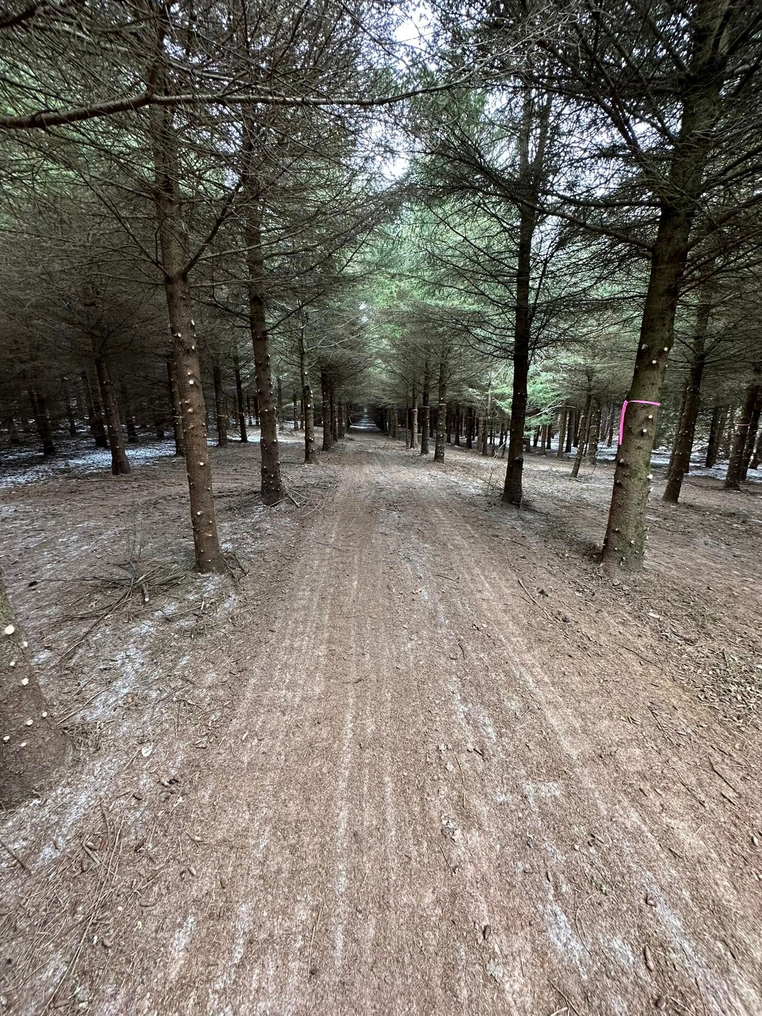  for 608 Earthworks in Marshall, WI