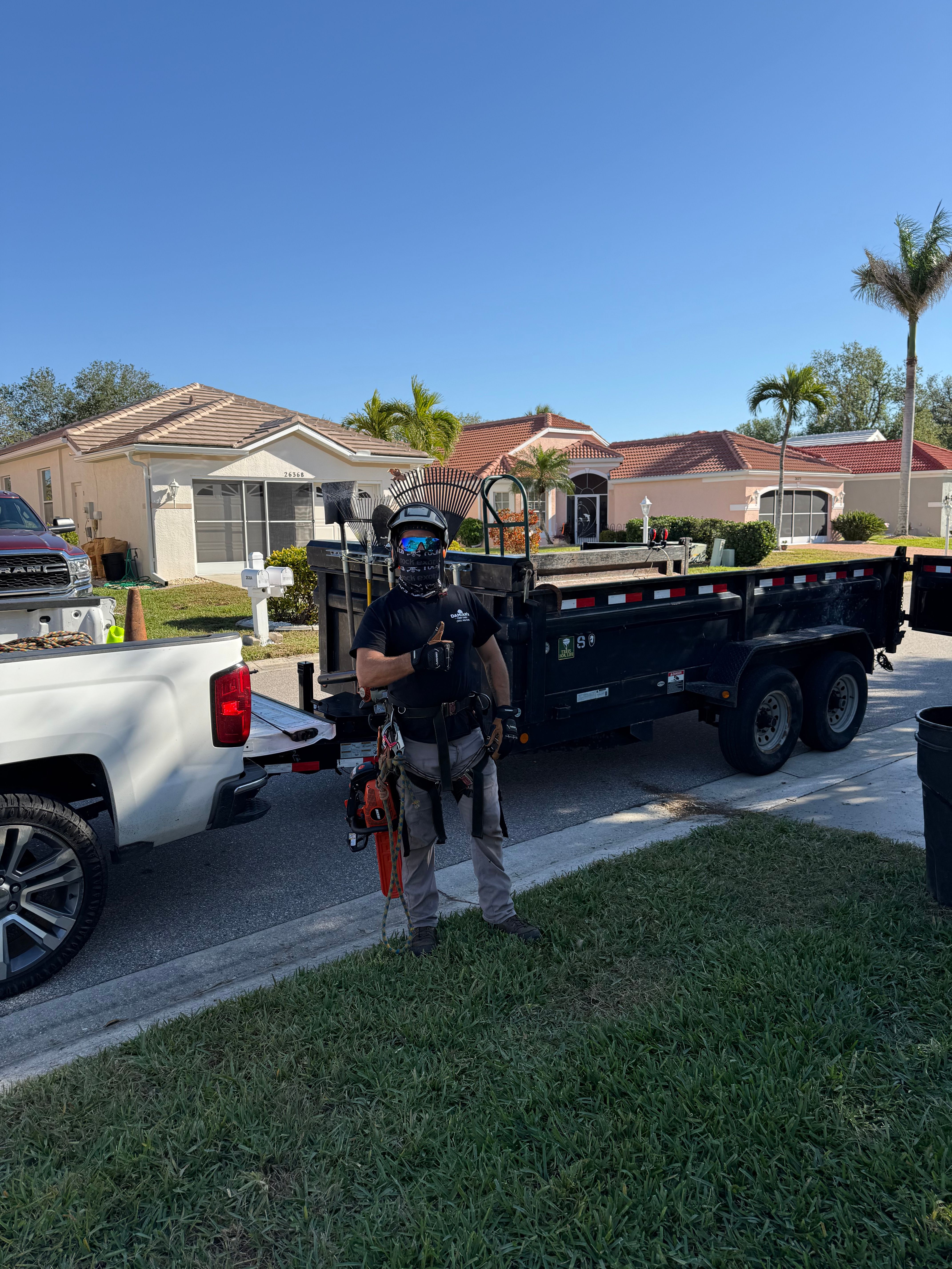  for Damian’s Tree Care in Sarasota, FL