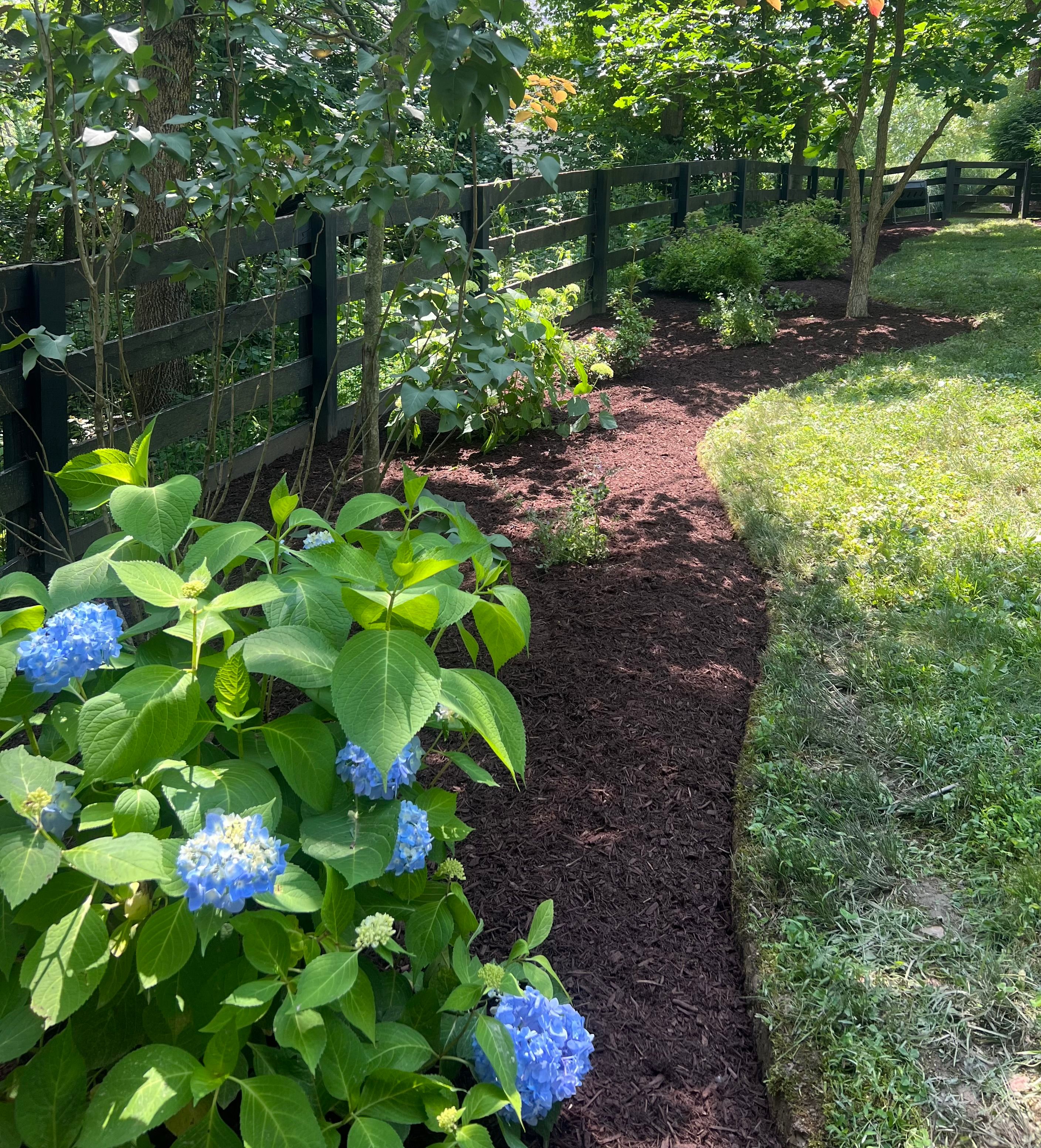  for Full Service Landscaping in Louisville, KY