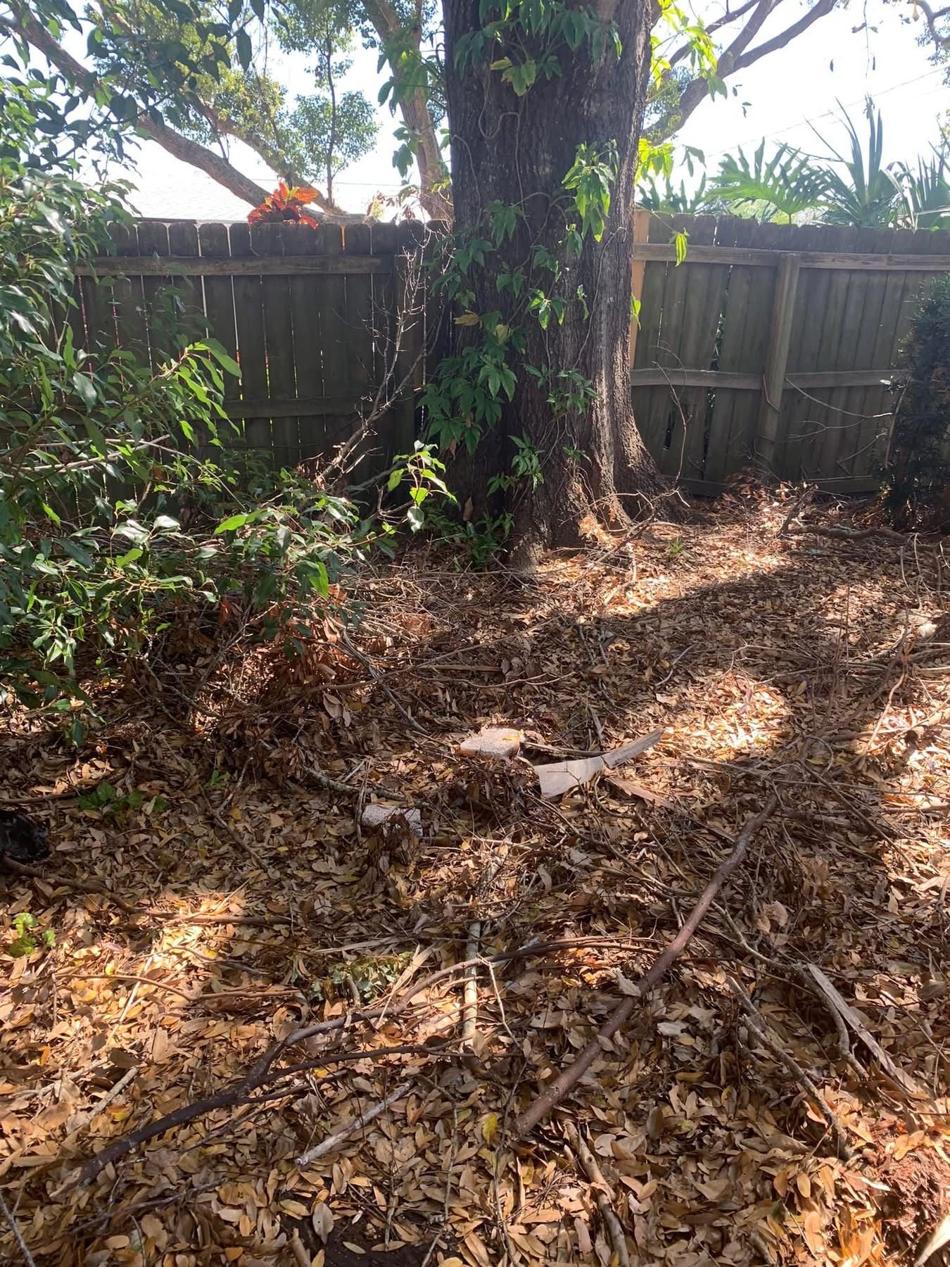  for Space Coast Property Maintenance and Management LLC in Melbourne, FL