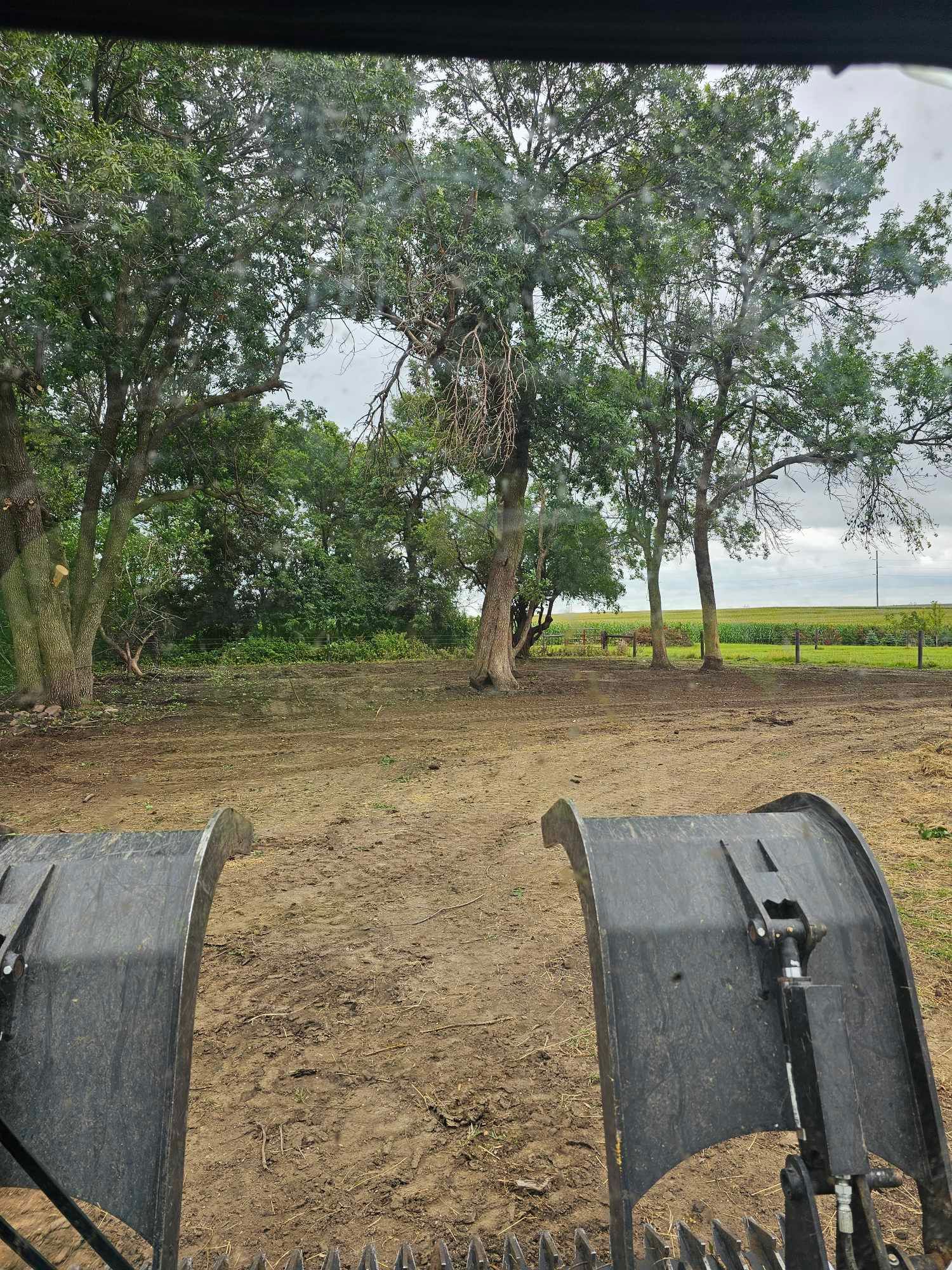  for Tree Tech in Luverne, MN