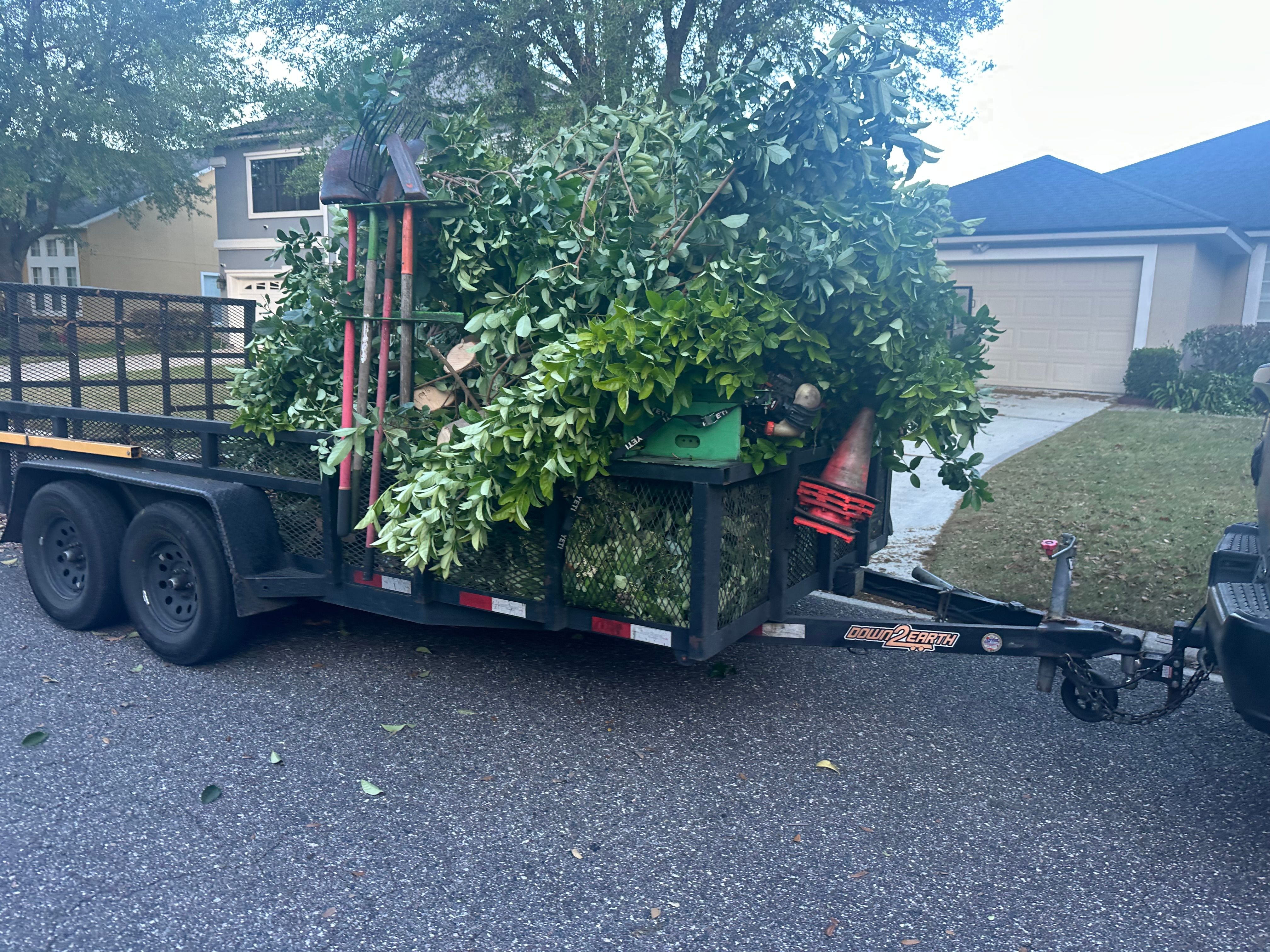 All Photos for All of the Above Landscaping in Orange Park, FL