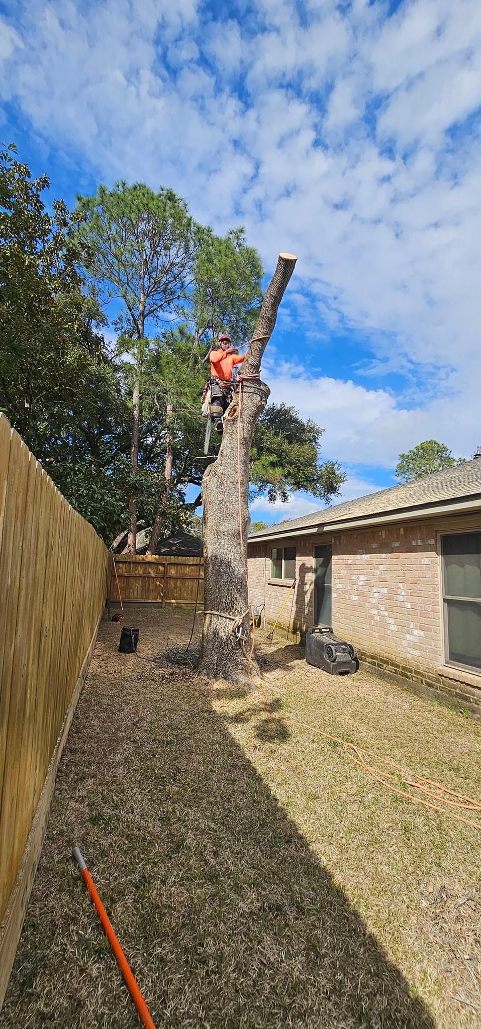  for Servin's Tree Care  in Houston, TX