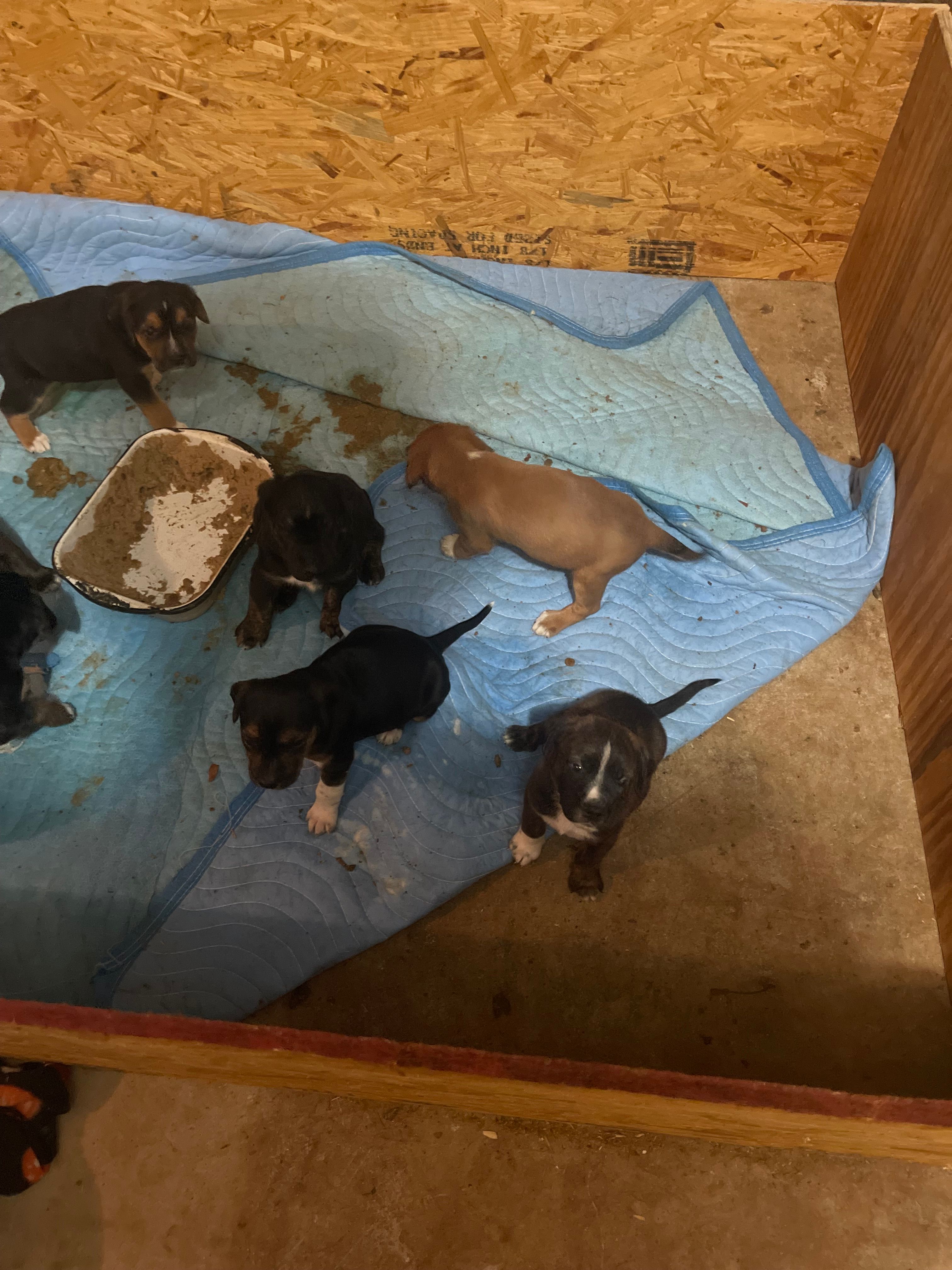  for DDH Custom Home Improvement in Atlanta, Georgia