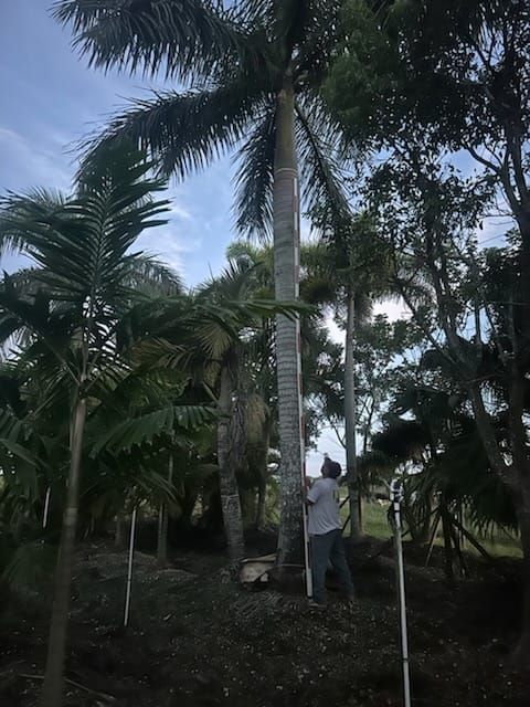  for Bridgewater Arbor Care LLC in Jupiter, FL