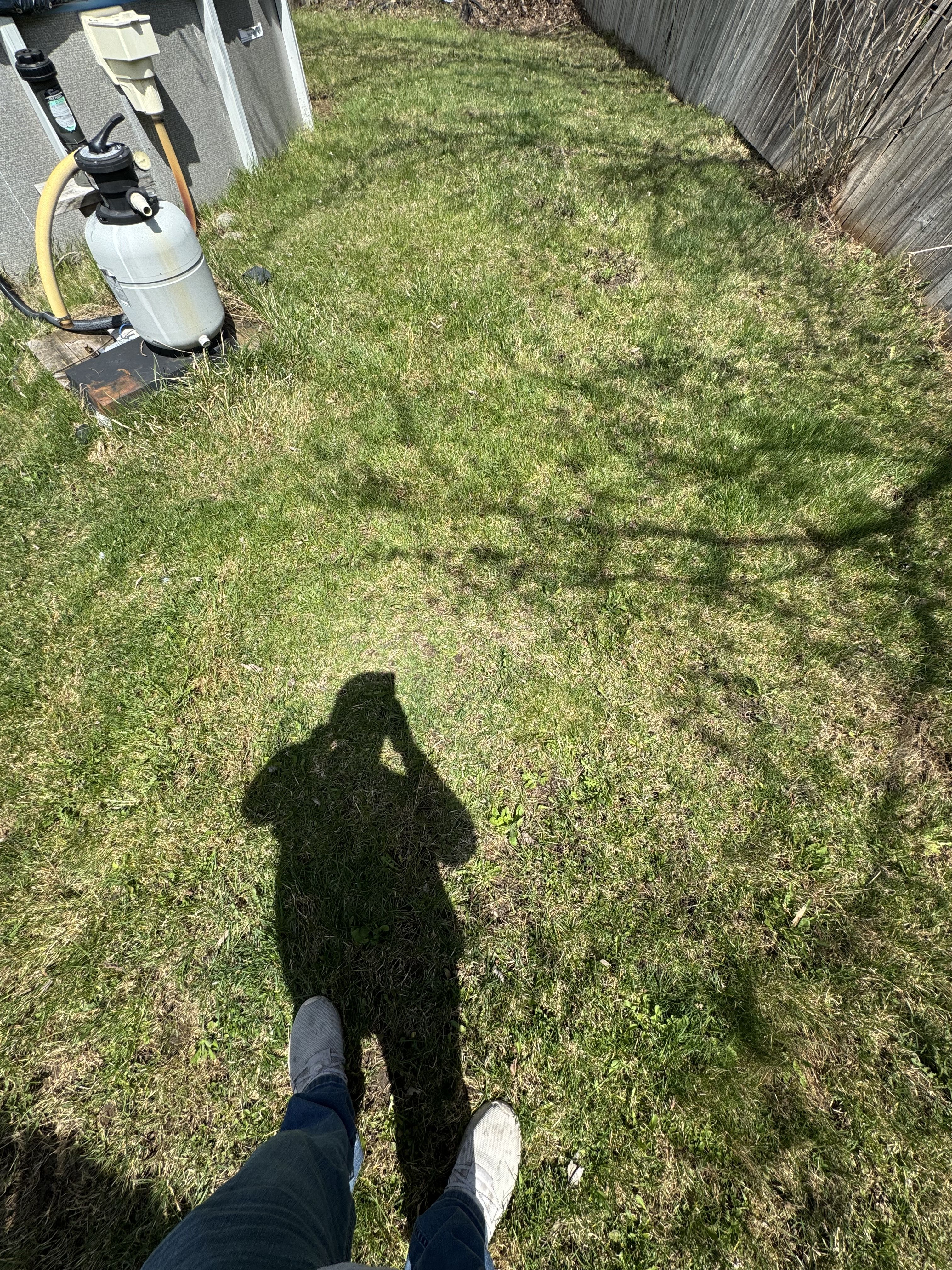  for Daugherty's Tough Lawn Care in Essexville, MI