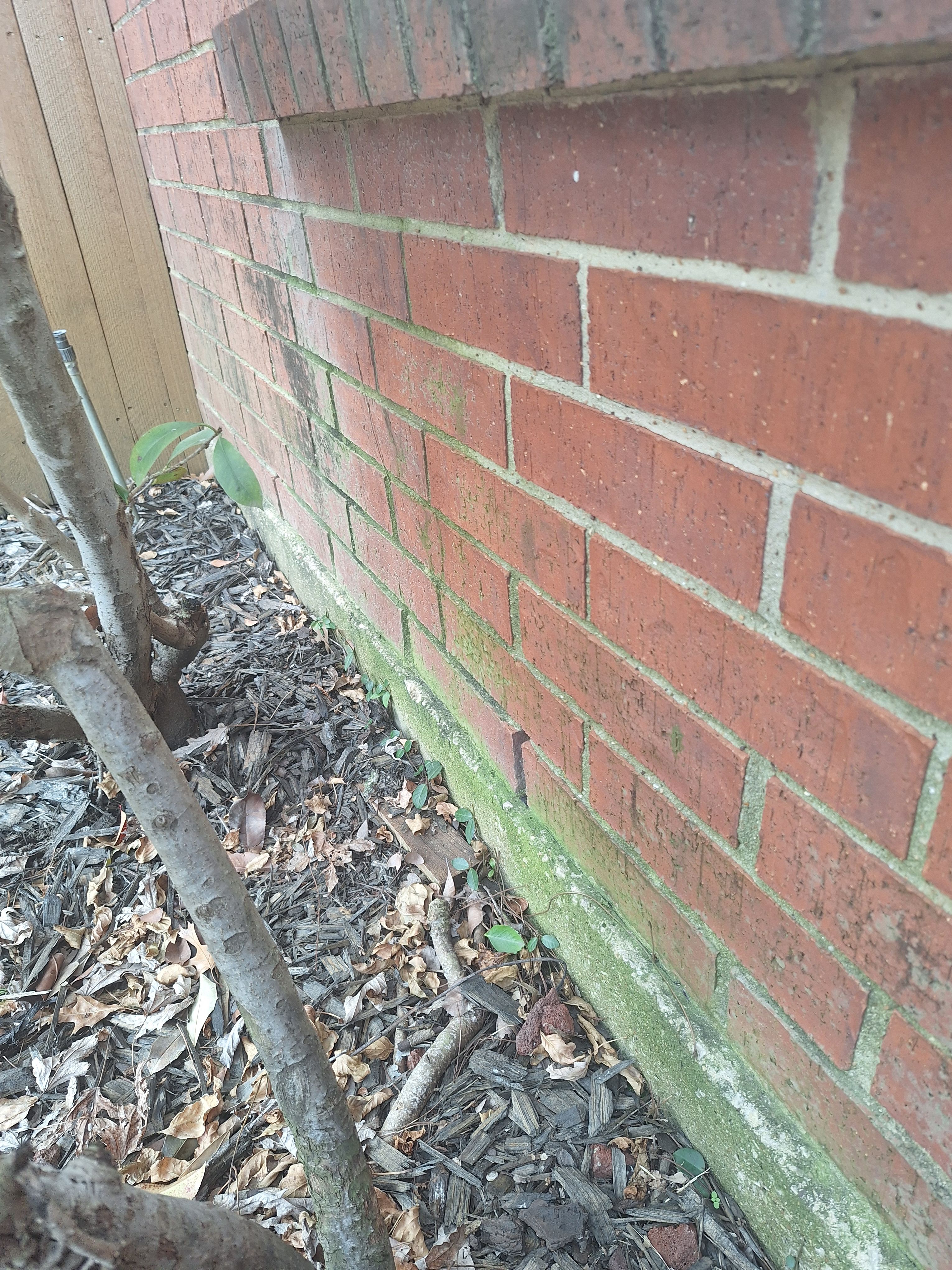  for Connected Exterior Cleaning in Dallas, TX