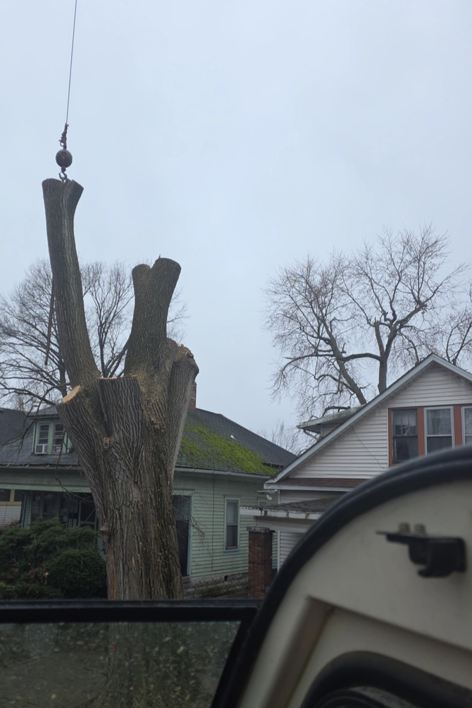  for Advanced Tree Solutions in Rockville, IN