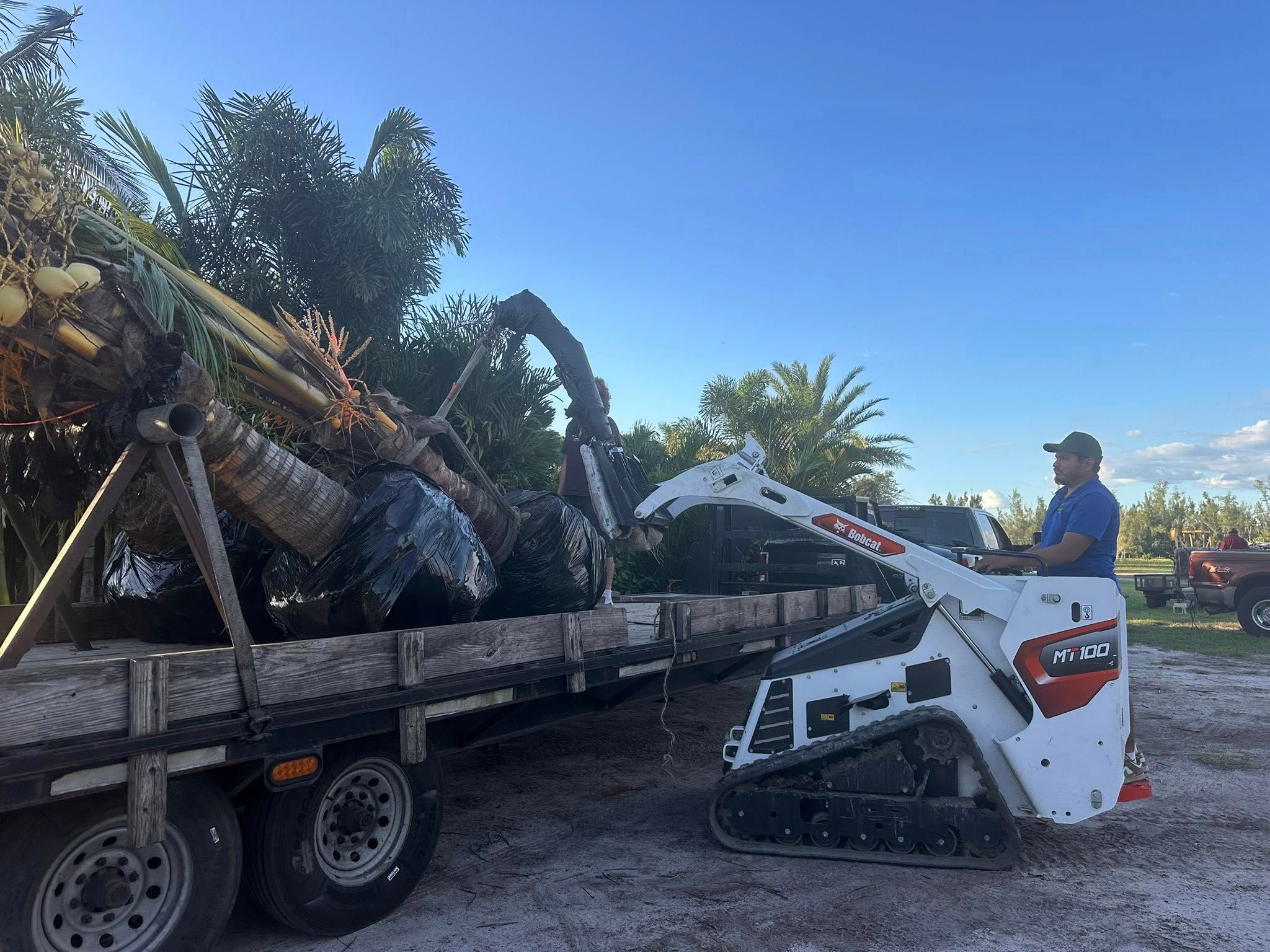  for Plant World LLC in Cape Coral, FL