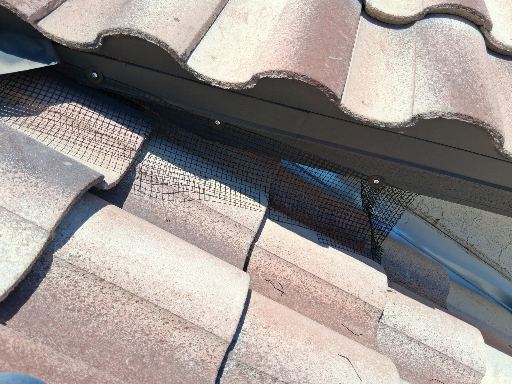  for Olson & Sons Contracting in Mesa, AZ