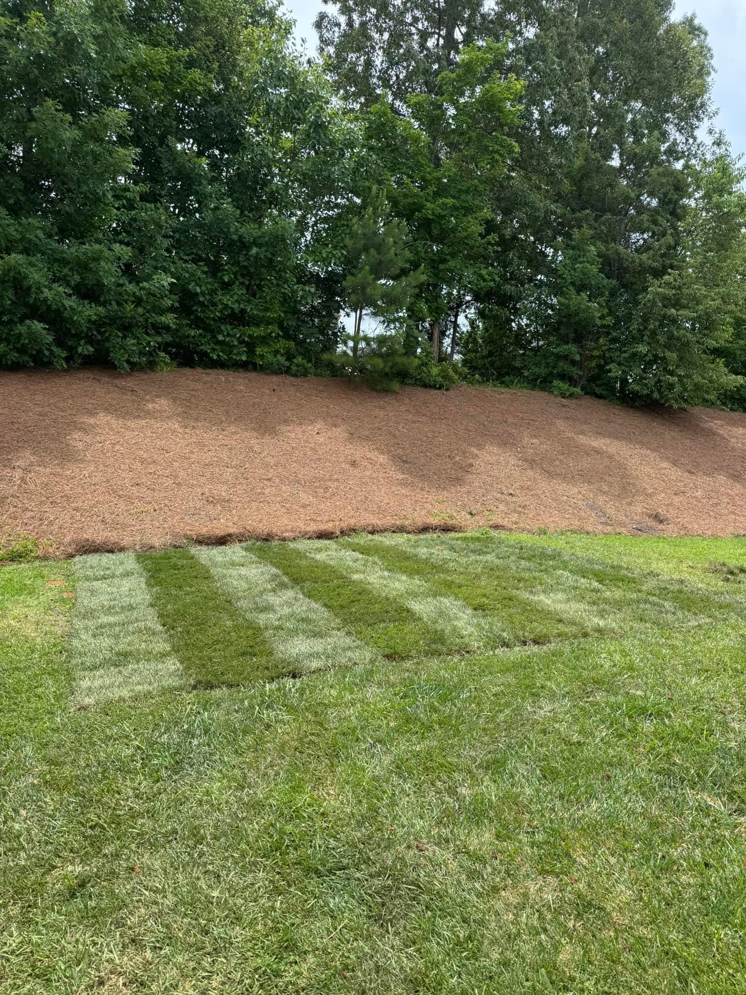  for Southern Turf & Landscape in Concord, NC
