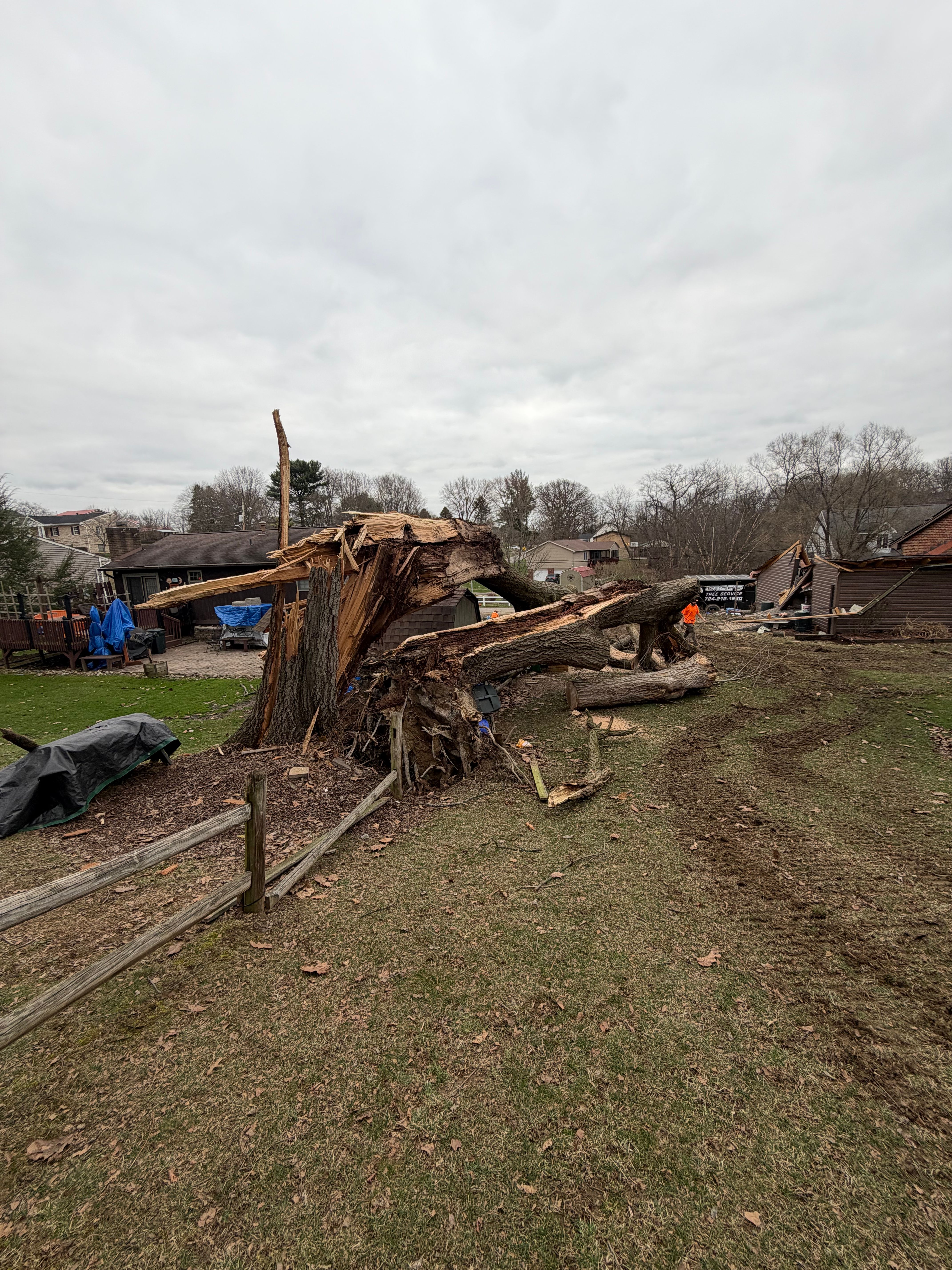  for Gregory Godleski Jr's Tree Service in Wexford, PA