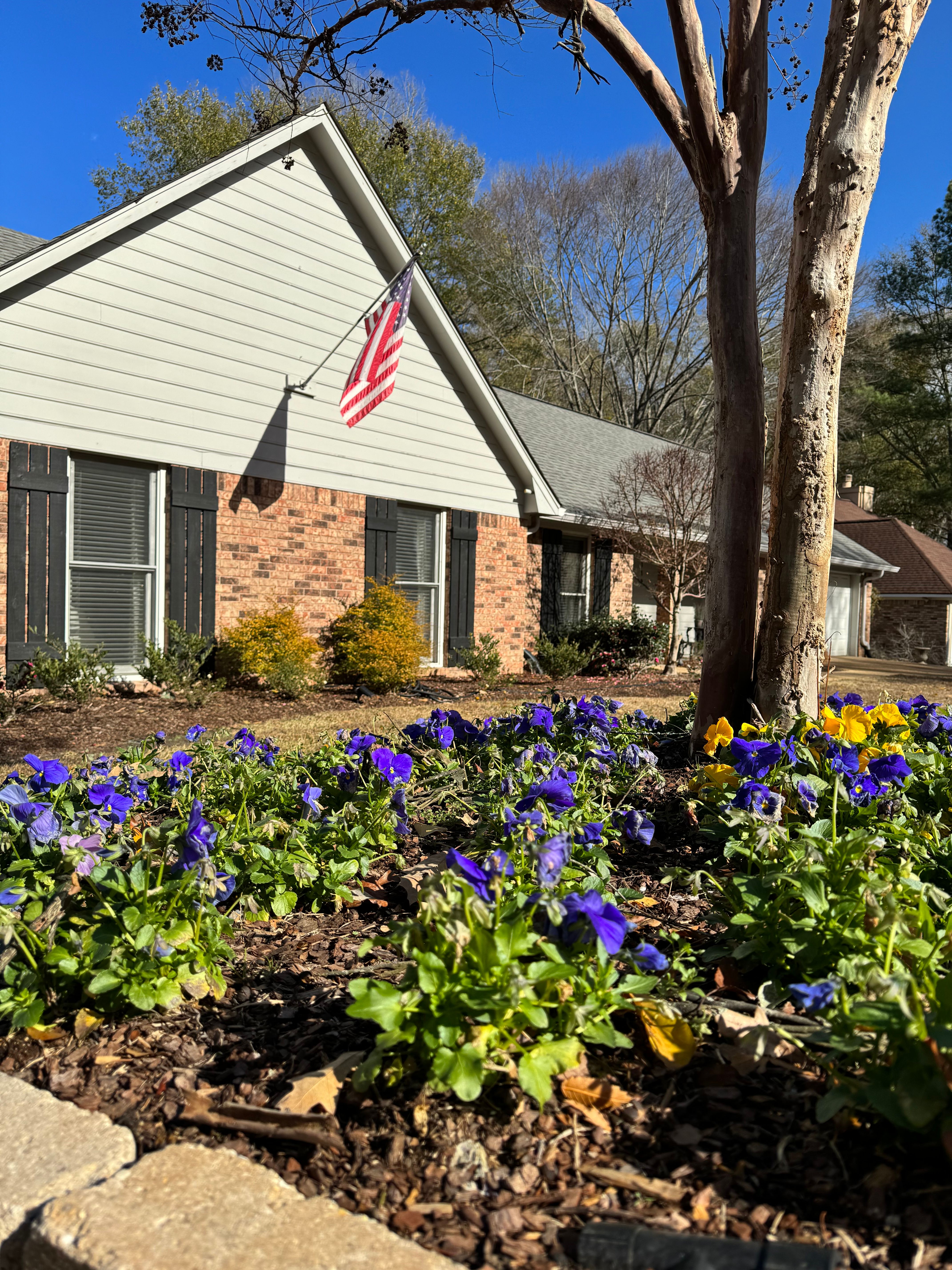  for Amis Lawn and Landscape, LLC in Clinton, MS