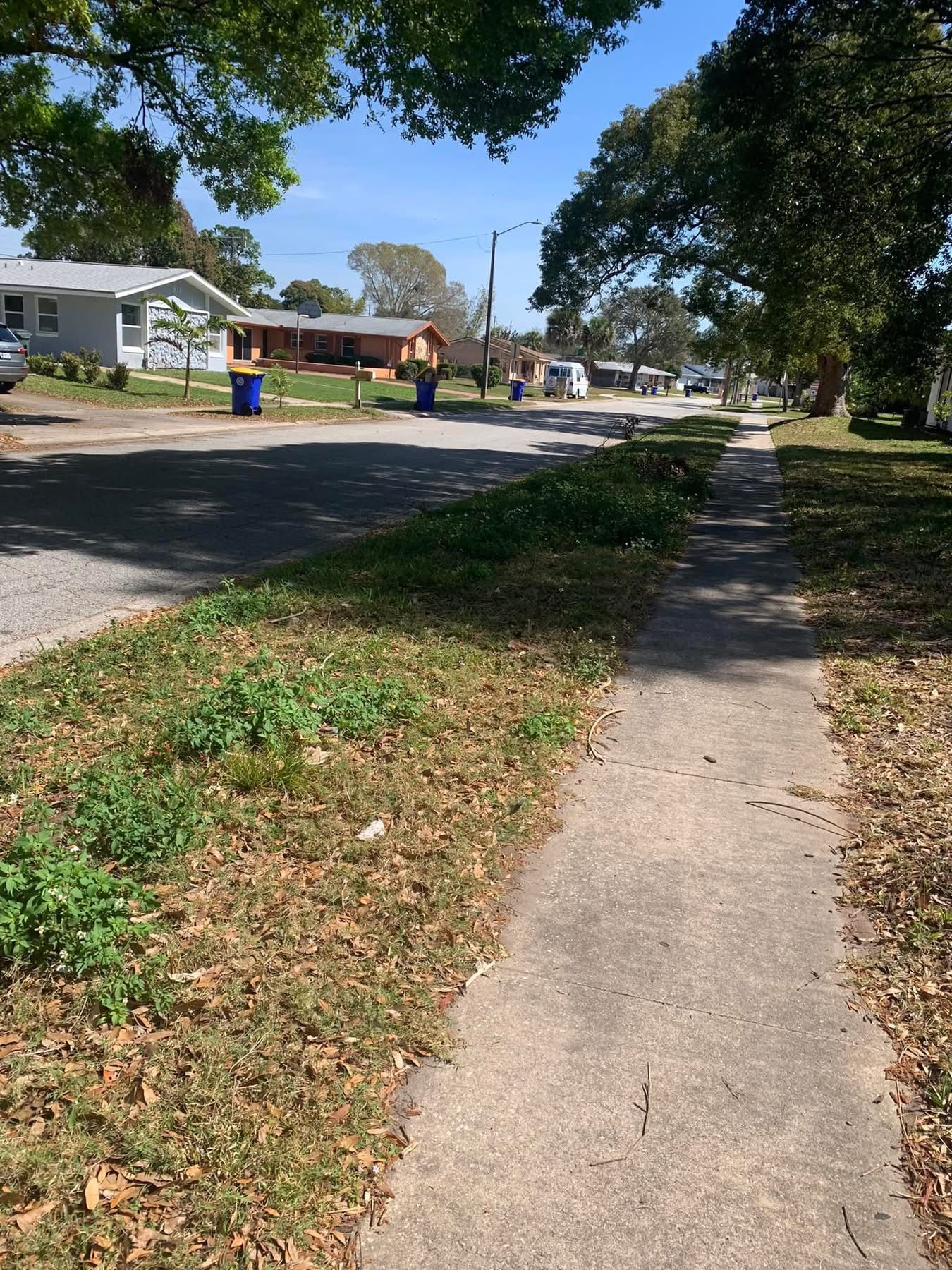  for Space Coast Property Maintenance and Management LLC in Melbourne, FL