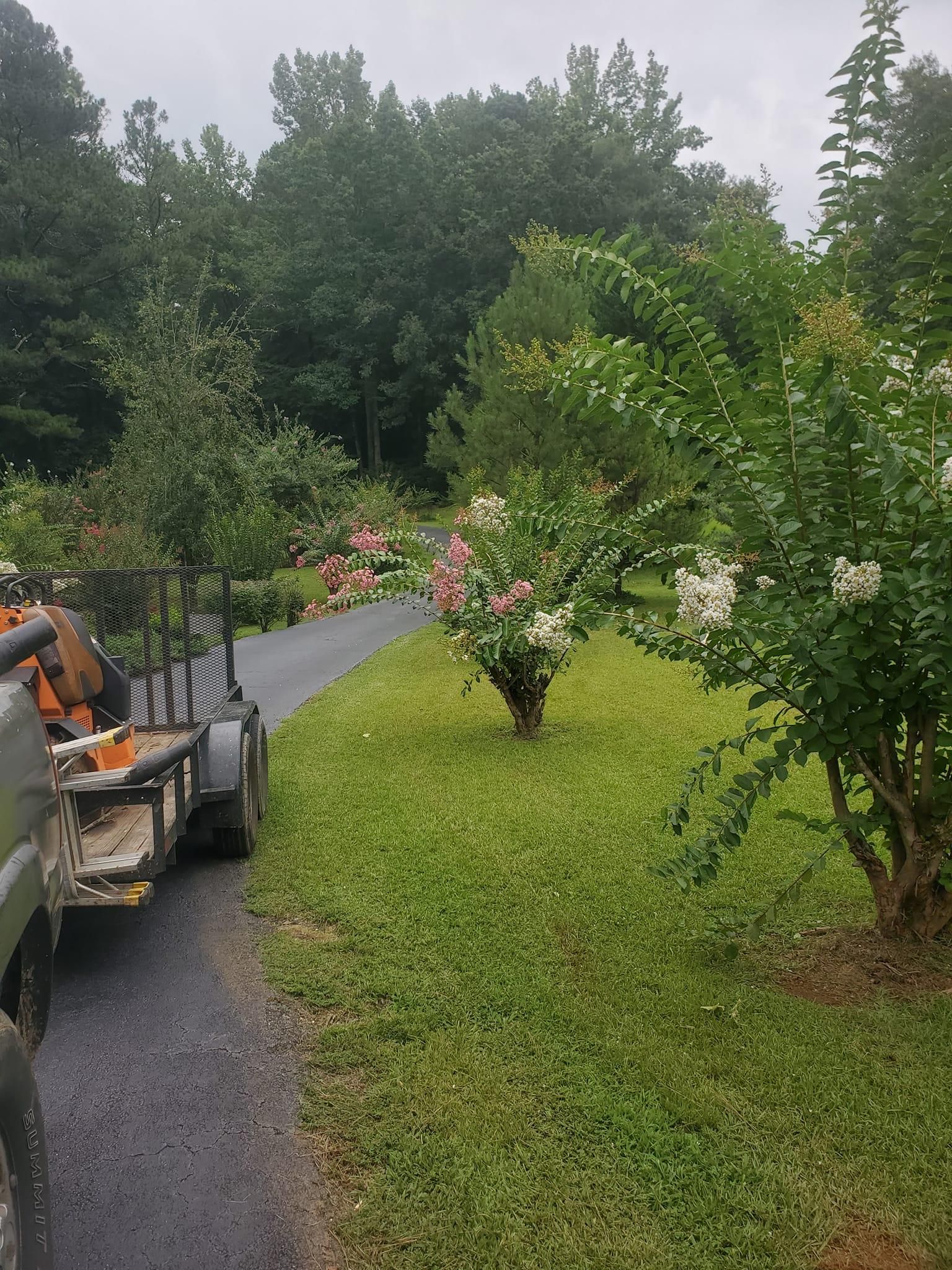  for A&A MultiScapes and Tree Service in Dallas,  GA