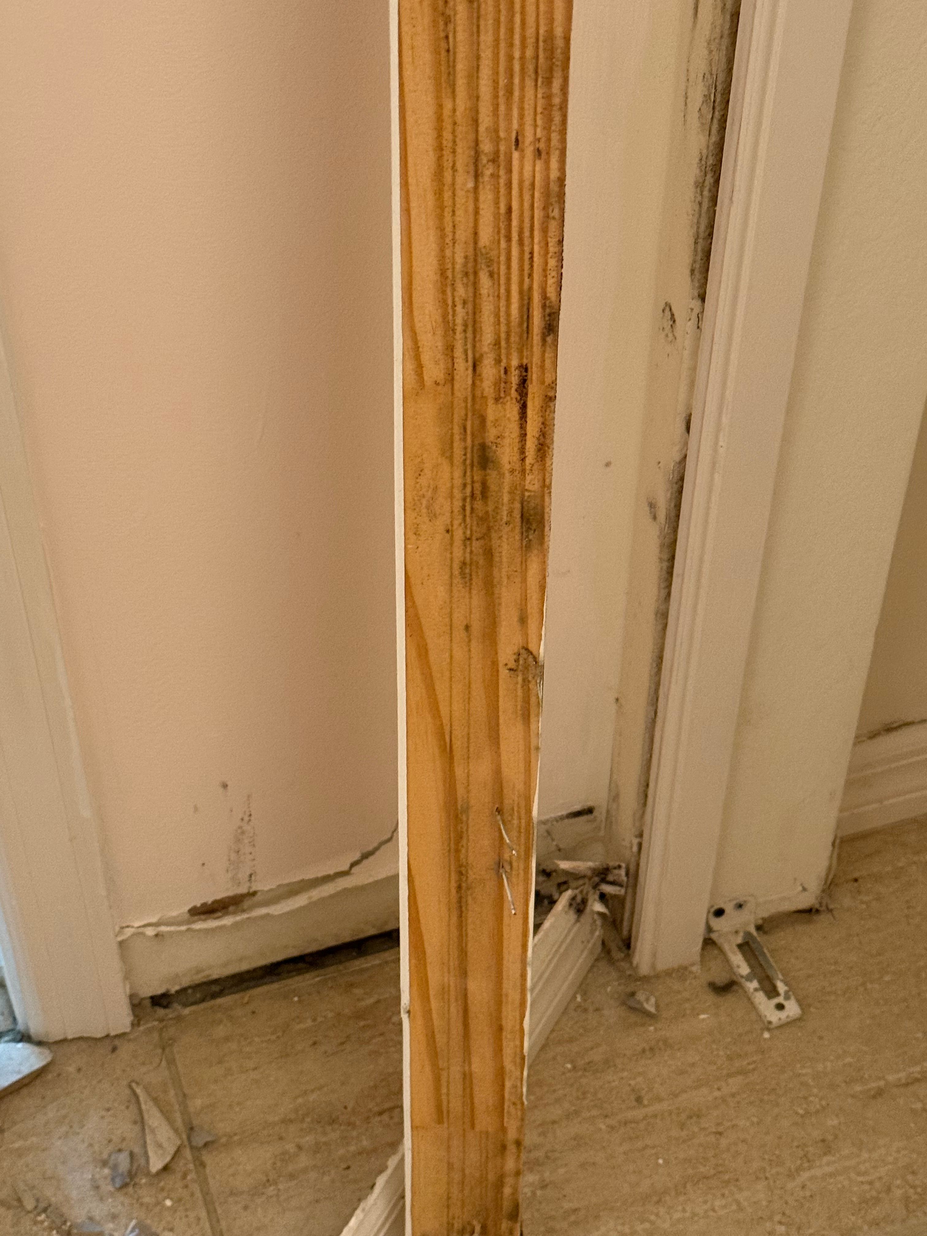  for N&D Restoration Services When Disaster Strikes, We Come In in Cape Coral,  FL