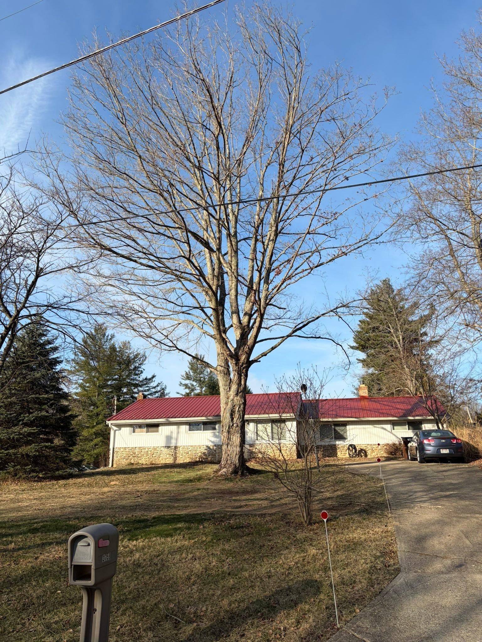  for Dig-It Tree Company in Mason, OH