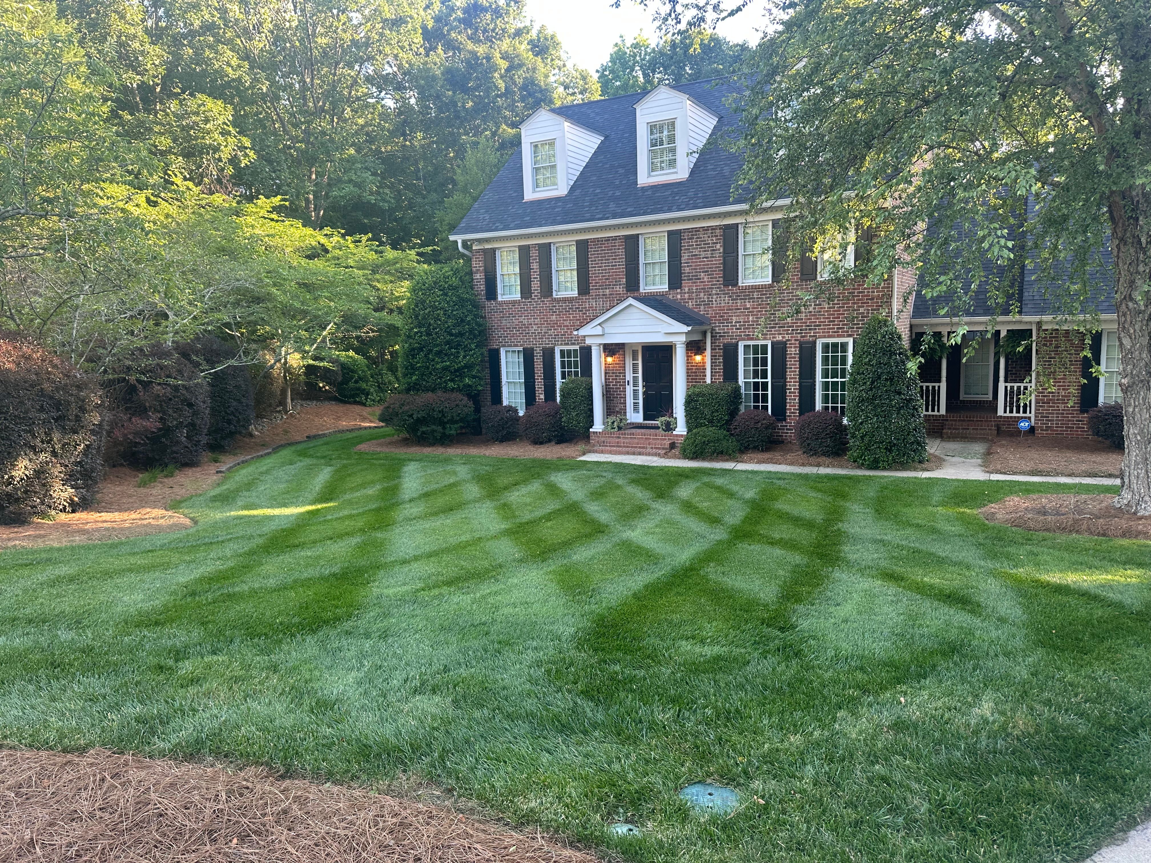  for Pecina Pine Needles in Monroe, NC