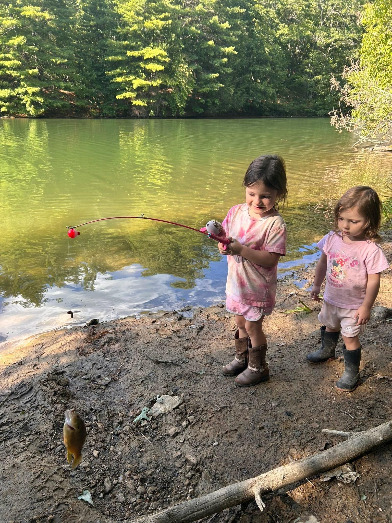 for Appalachian Riding Tours in Ghent, WV