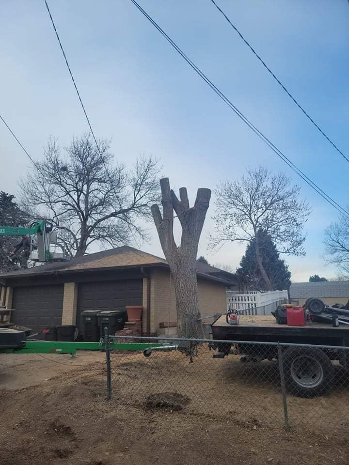  for Sloan Tree Service in Aurora, CO
