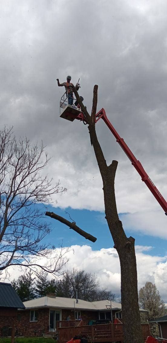  for Lawn Ranger Yard And Tree Service in Ottumwa, IA