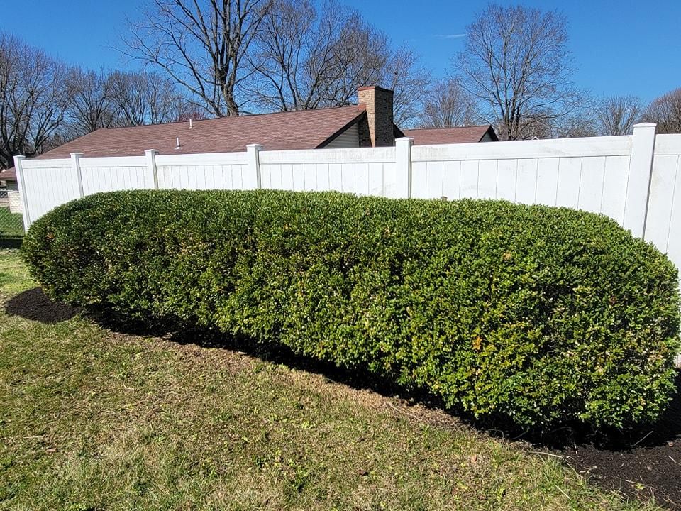 All Photos for Tingley's Green Land Services in Springfield, Ohio