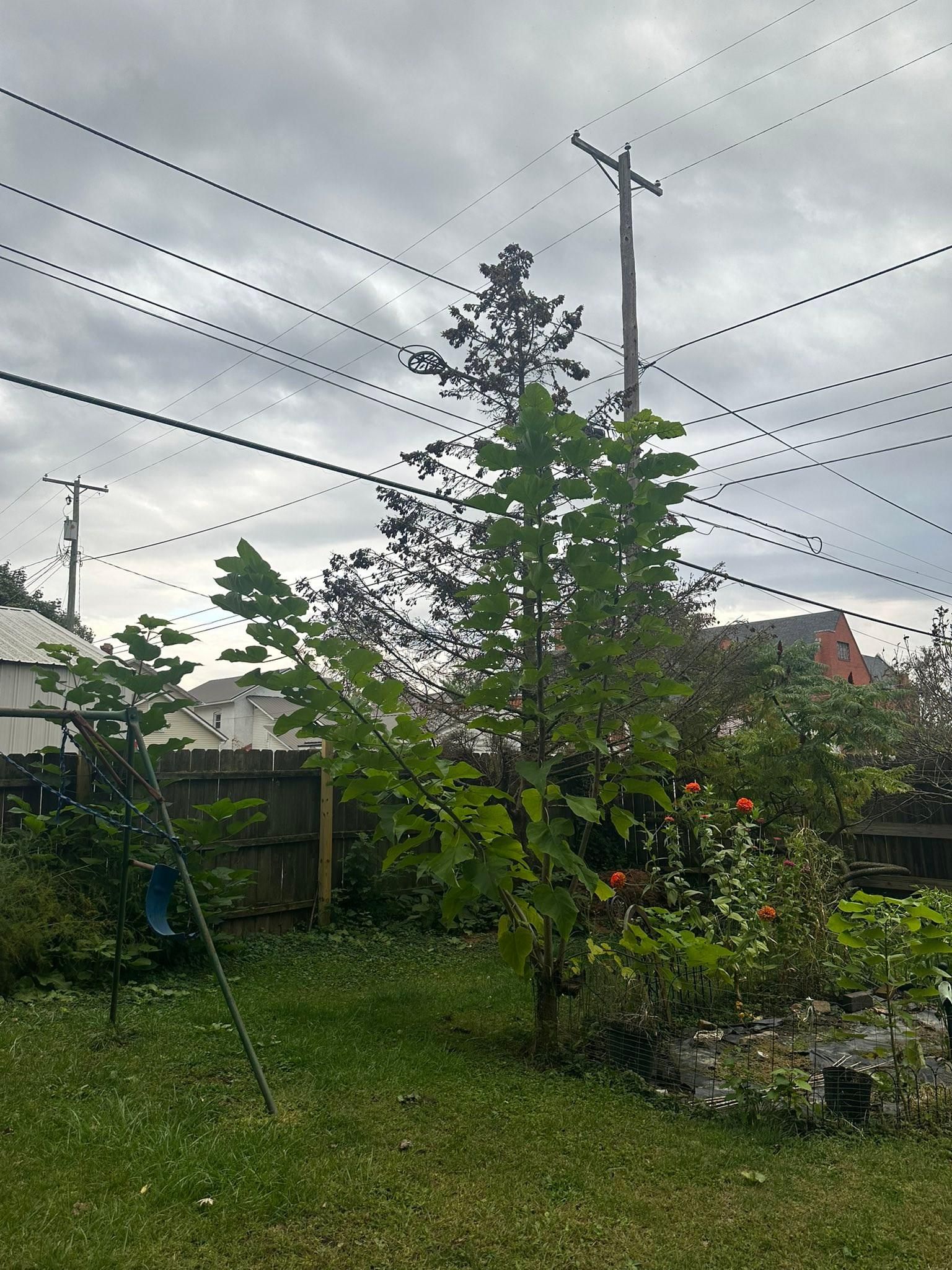  for OT Lawn and Landscaping LLC in Carey, OH