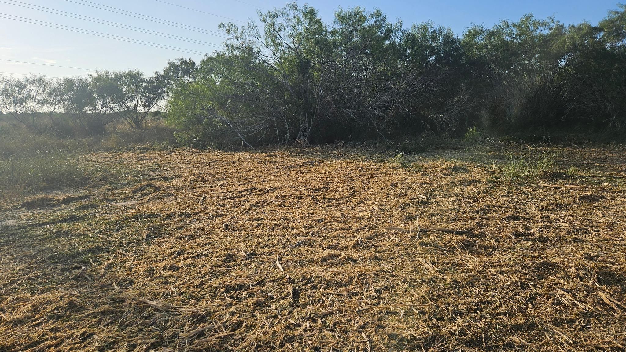 All Photos for Hernandez Land Clearing Services in Alice, TX