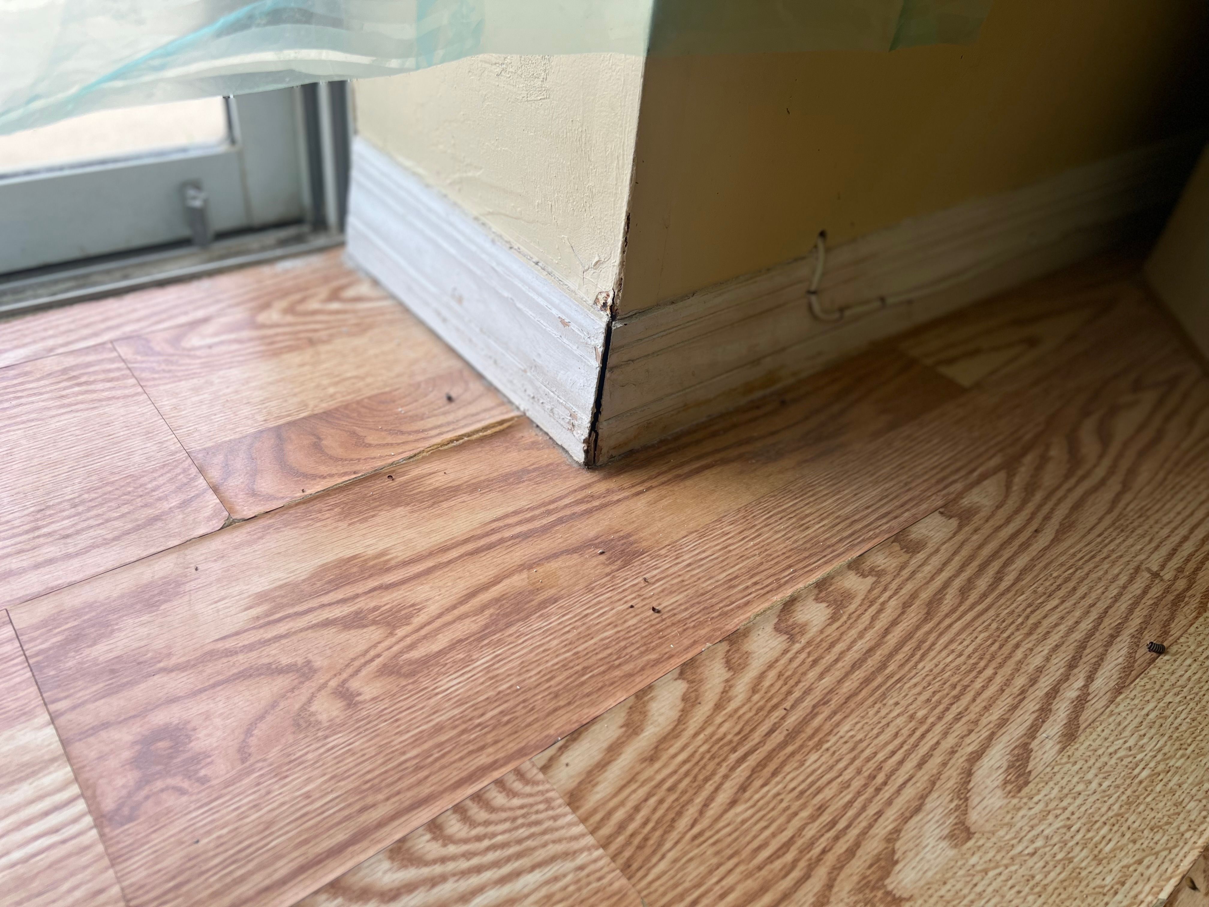  for N&D Restoration Services When Disaster Strikes, We Come In in Cape Coral,  FL