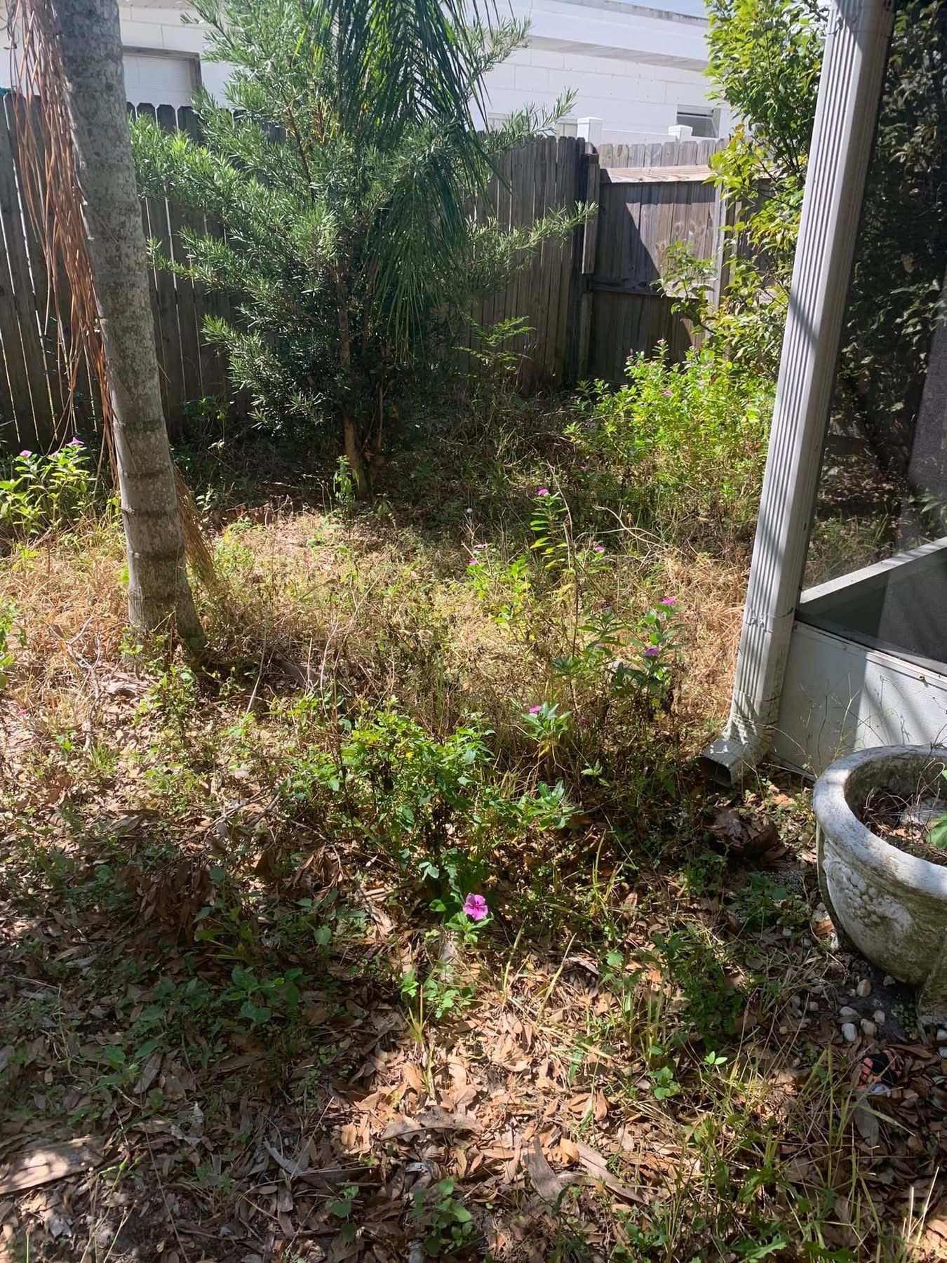  for Space Coast Property Maintenance and Management LLC in Melbourne, FL