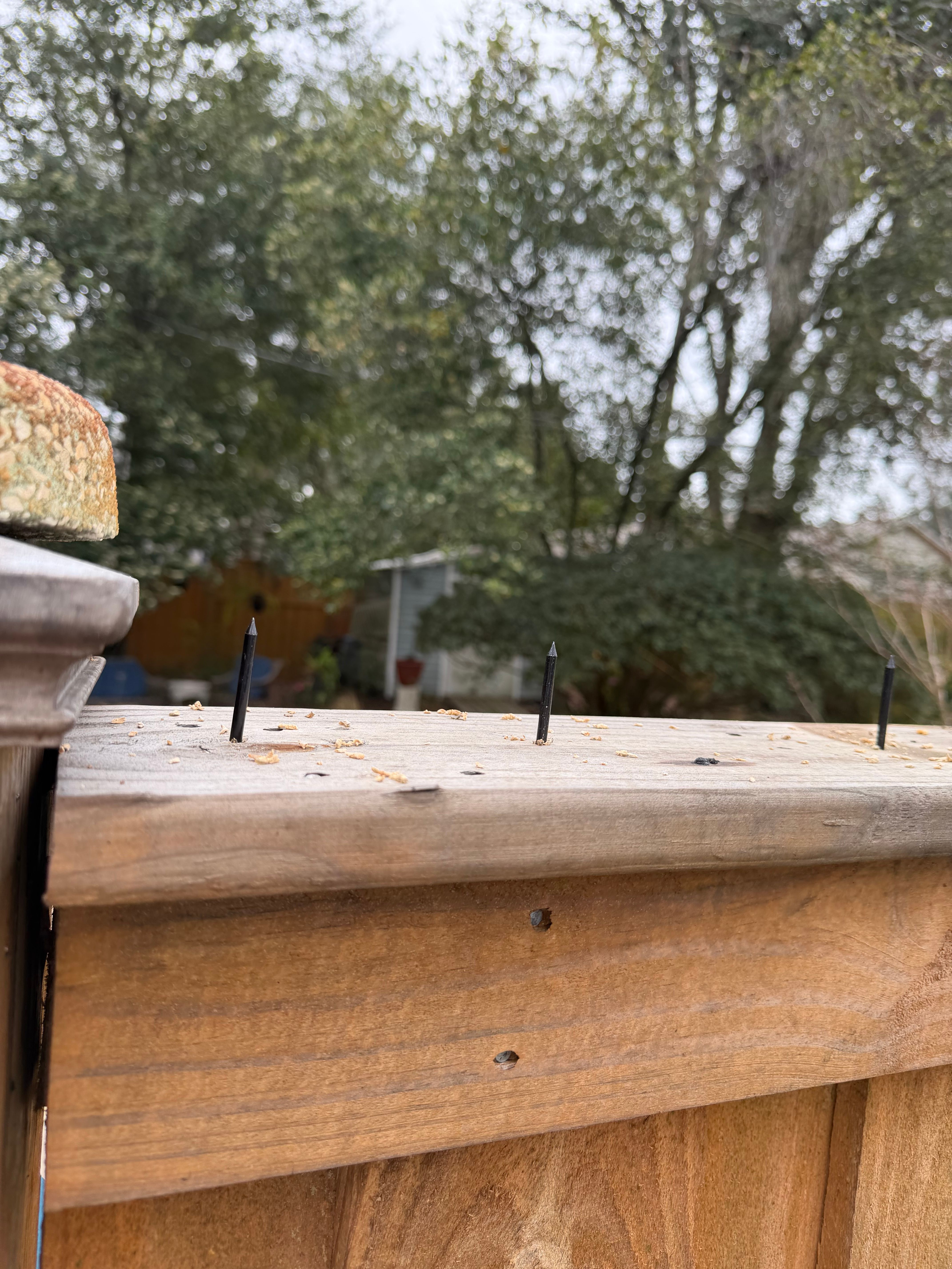  for Precision Exterior Enterprises in Pensacola, FL