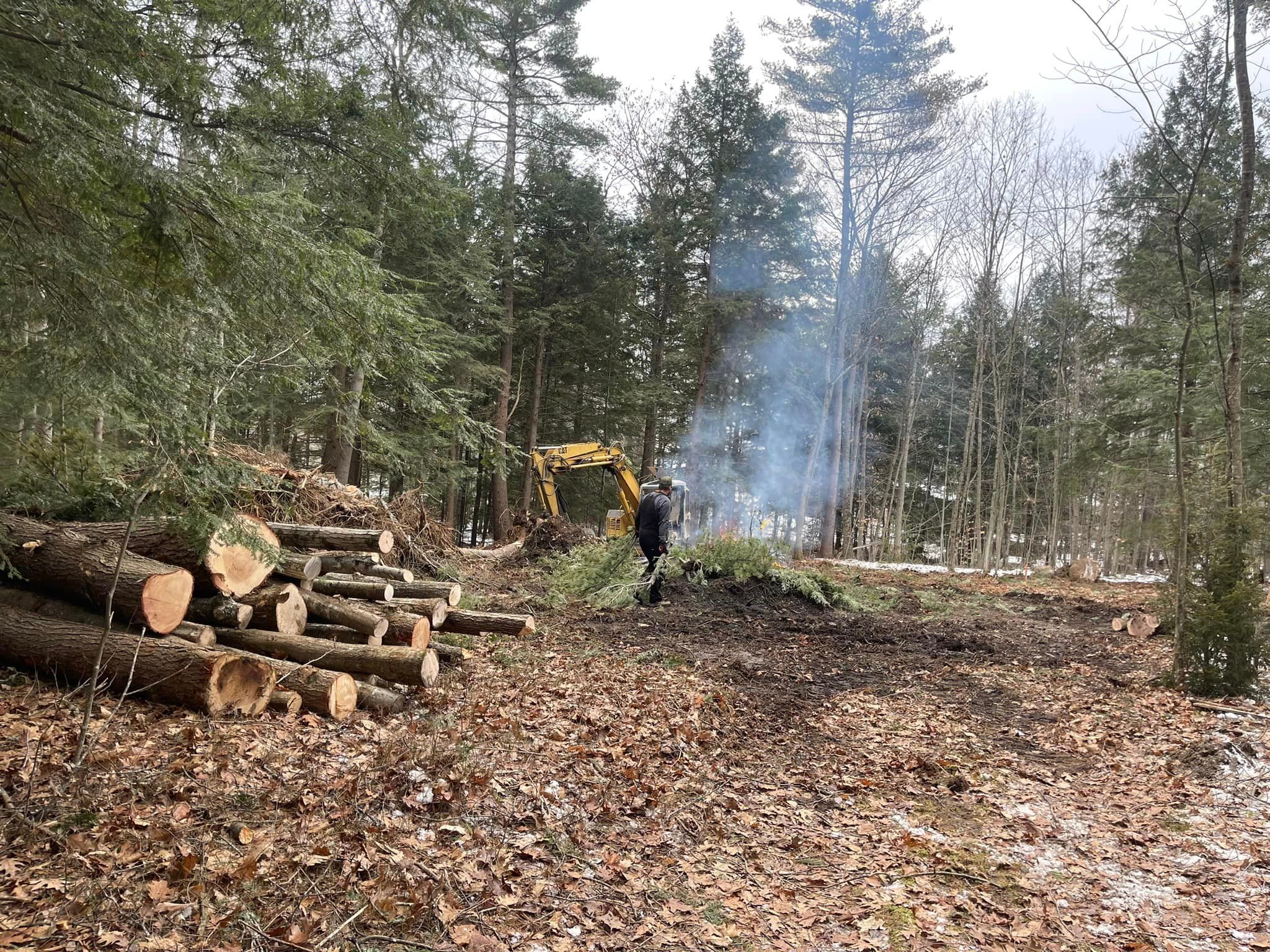  for Willett's Forest and Property Maintenance in 03278, NH