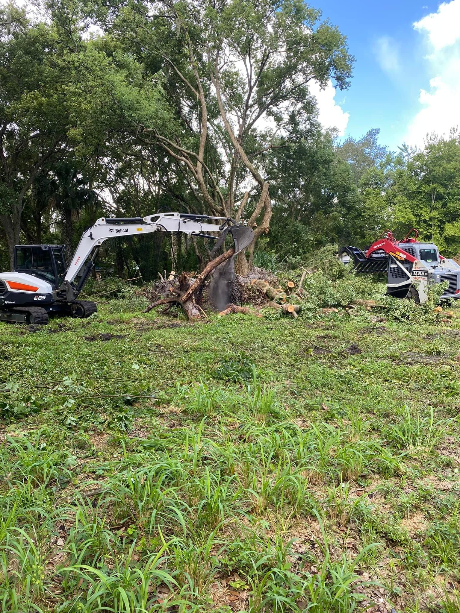  for McGraw’s Lawn and Tree Service in DeLand, FL