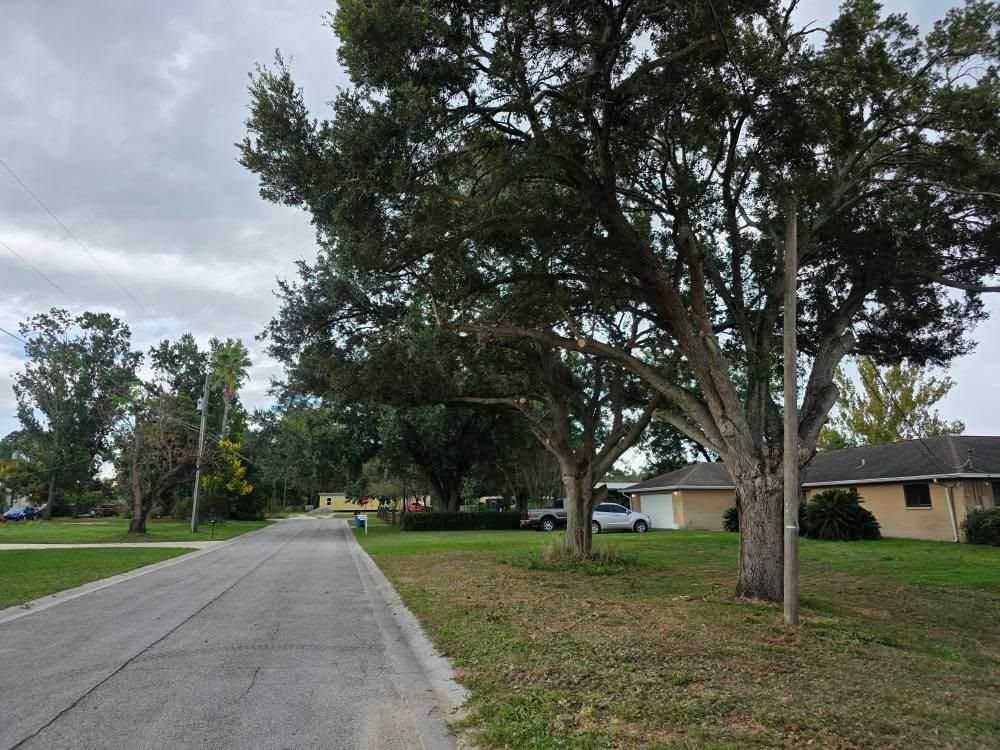  for Bay Area Bobcat in Riverview, FL
