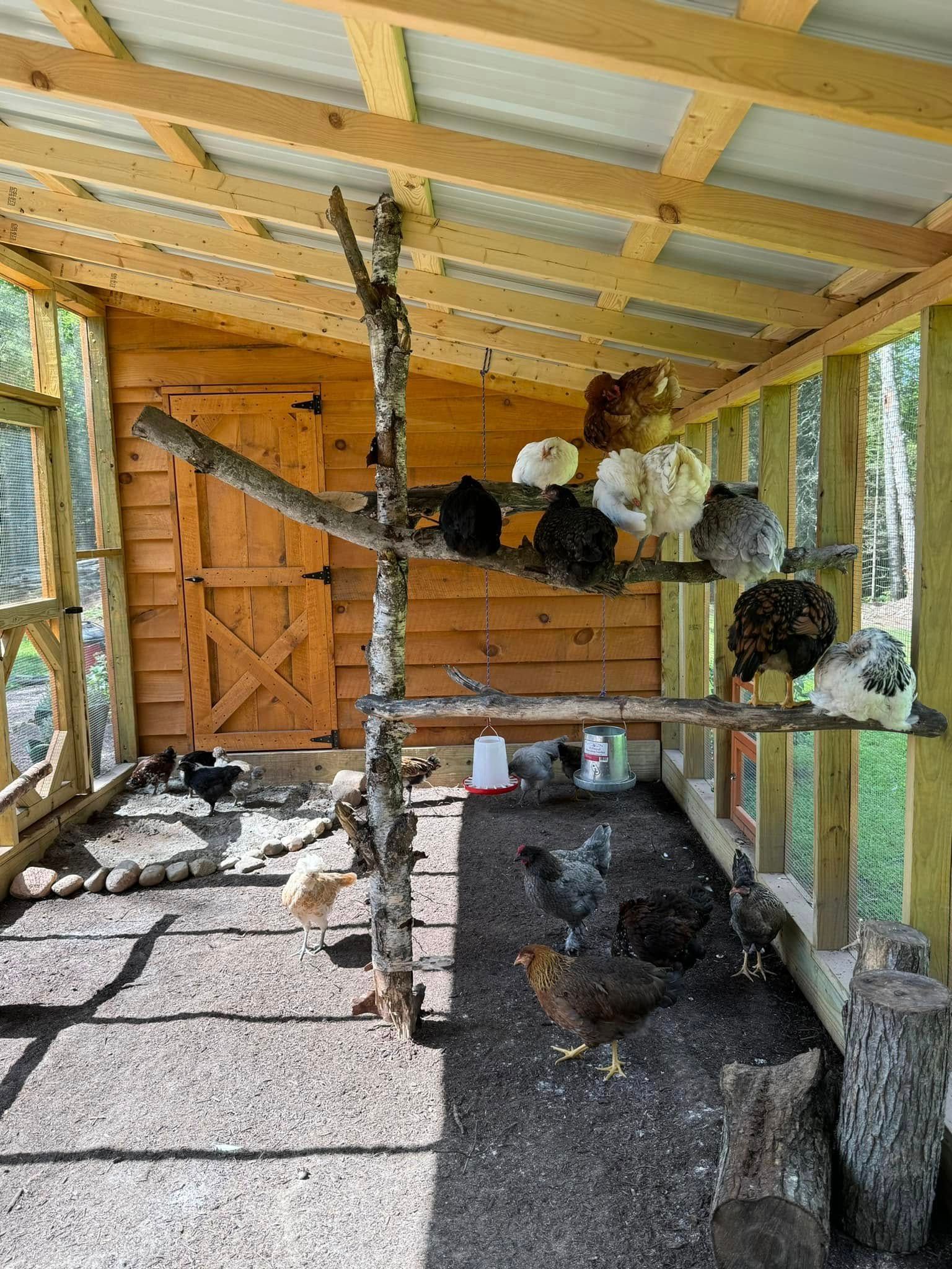  for Yoder Sheds in Chili, WI