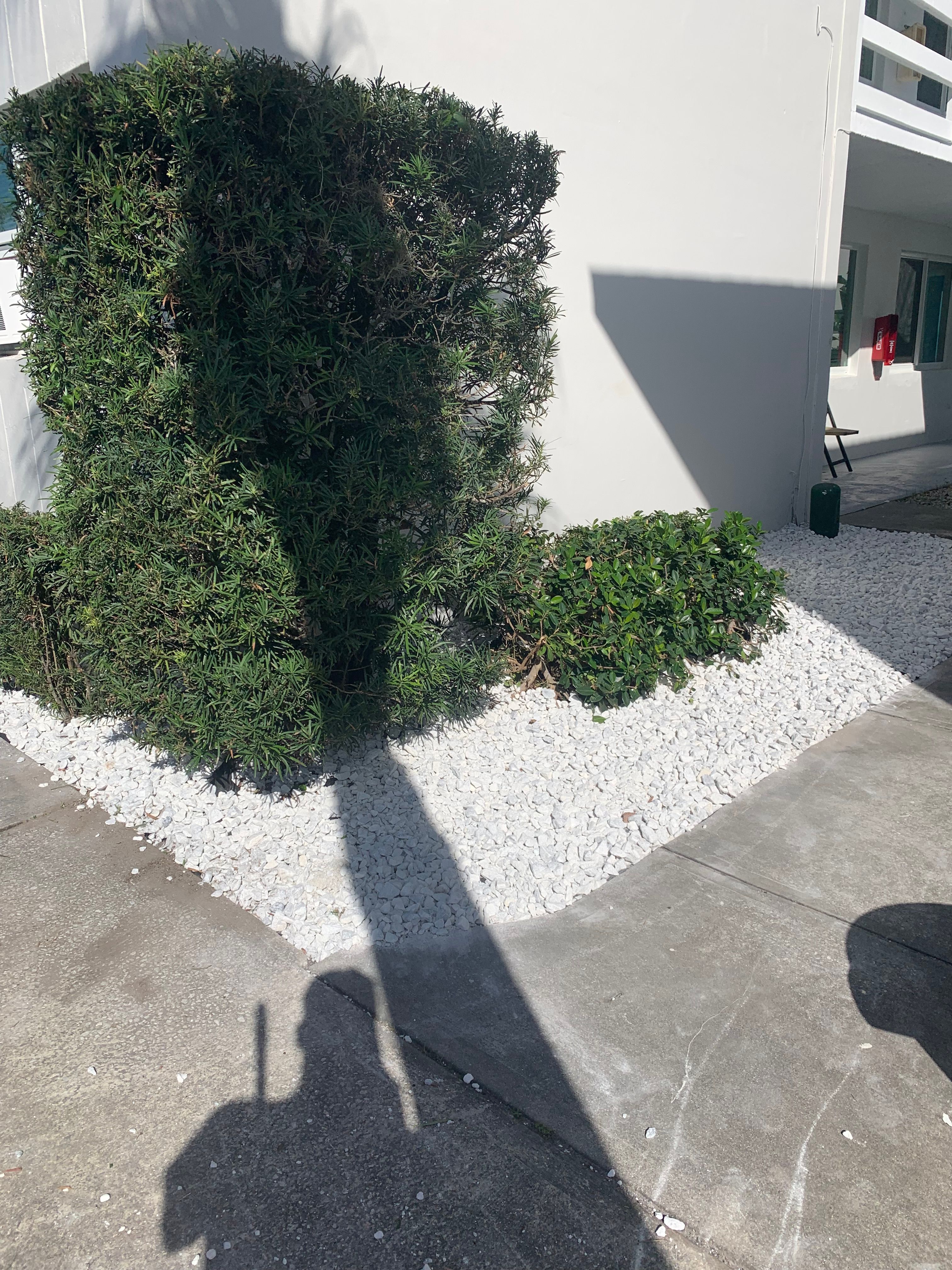  for Space Coast Property Maintenance and Management LLC in Melbourne, FL