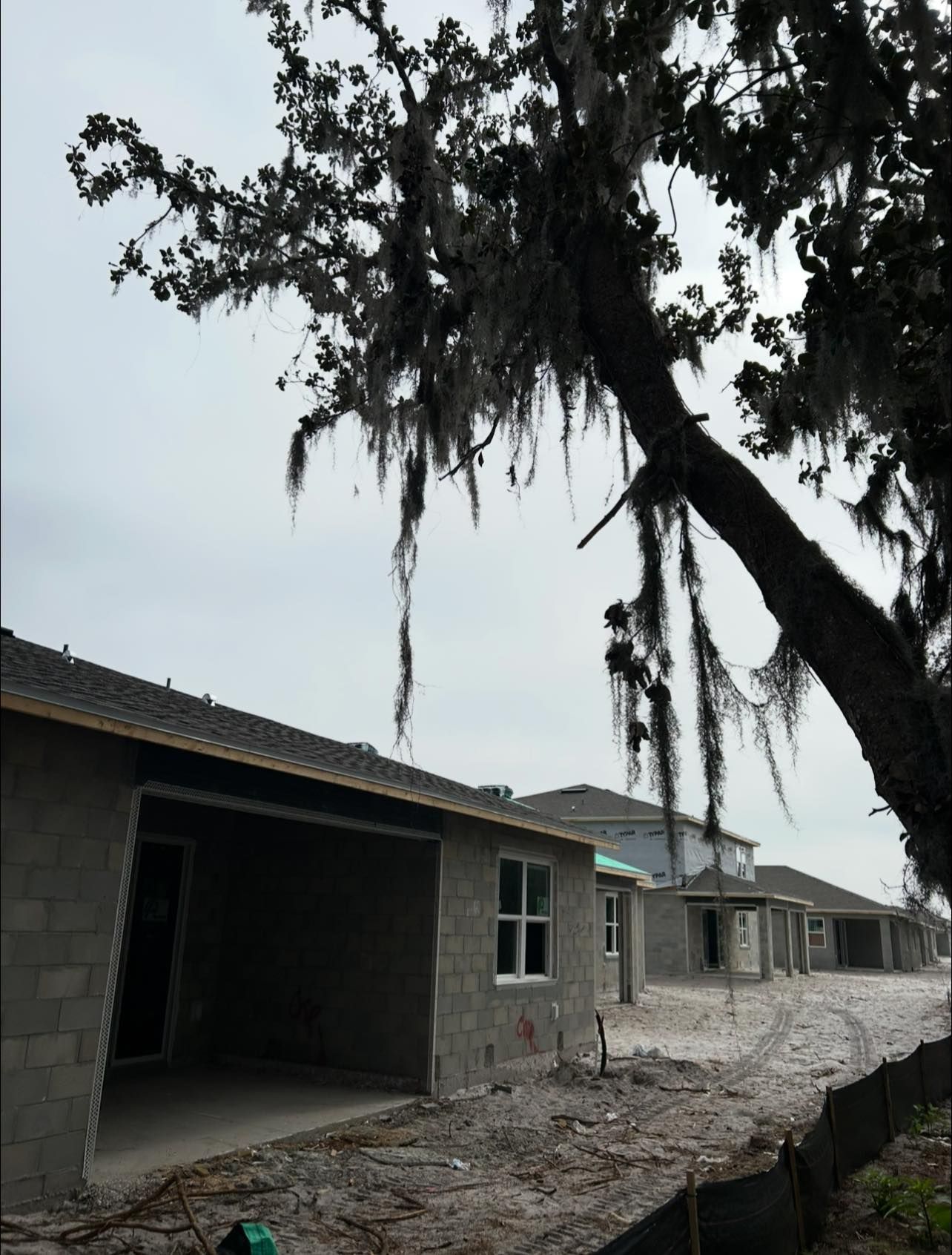 Tree Removal for A-1 Arbor Tech in Groveland, FL