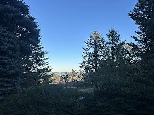  for Sol Junk Removal in Independence, OR