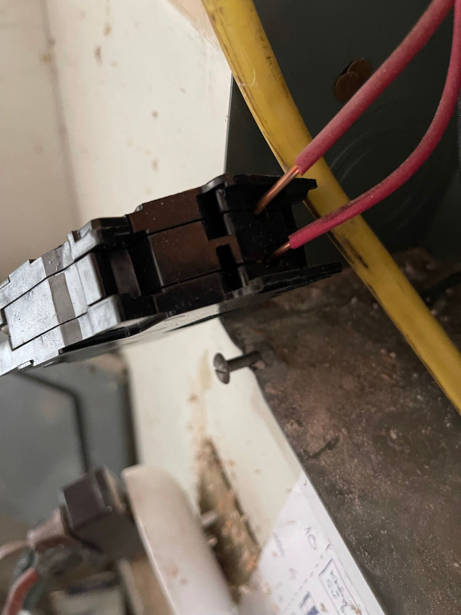  for Tony's Remodeling & Painting in Renton, WA