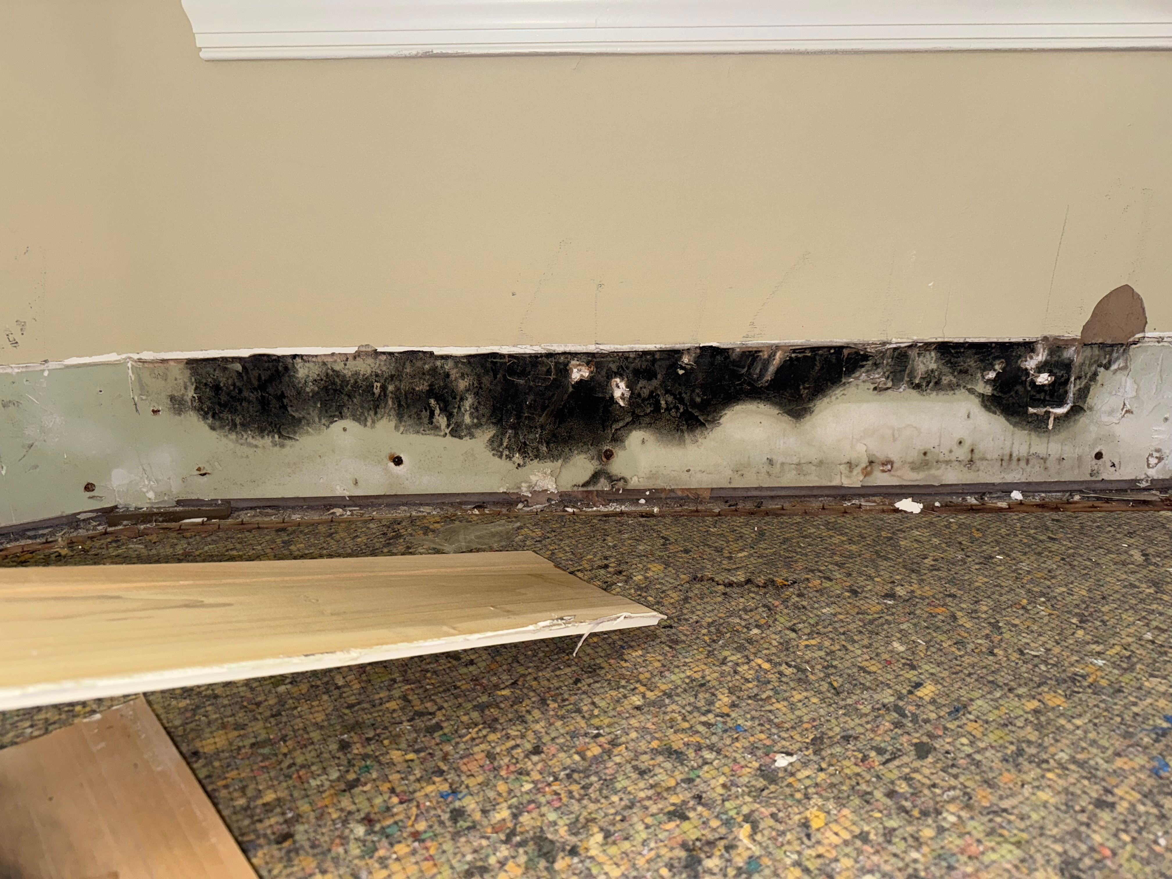  for N&D Restoration Services When Disaster Strikes, We Come In in Cape Coral,  FL