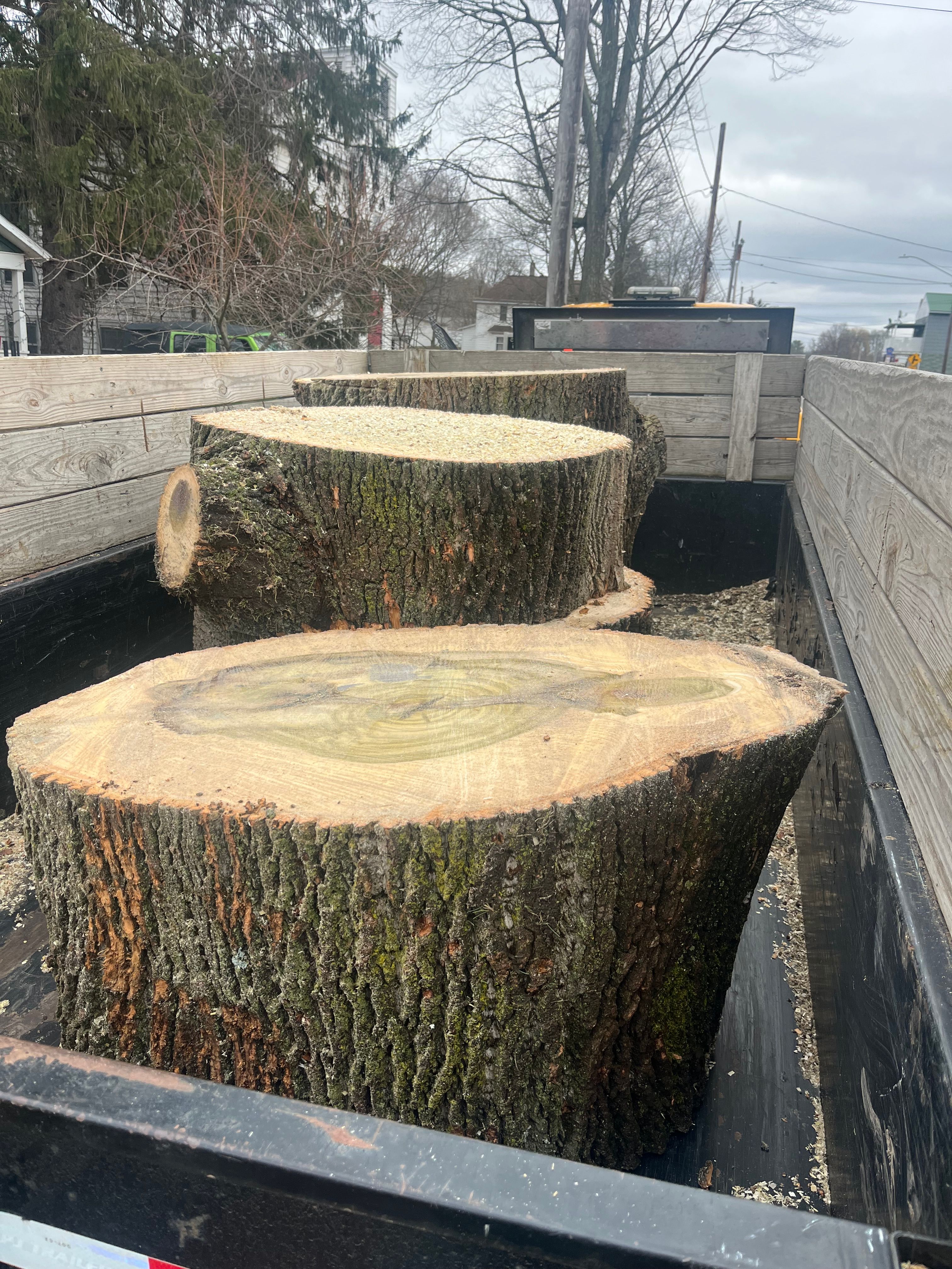 All Photos for Licensed to Cut Tree Service in Athens, PA