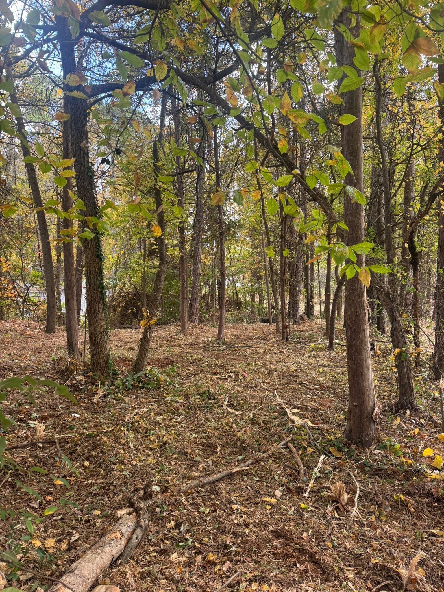  for Southern Turf & Landscape in Concord, NC