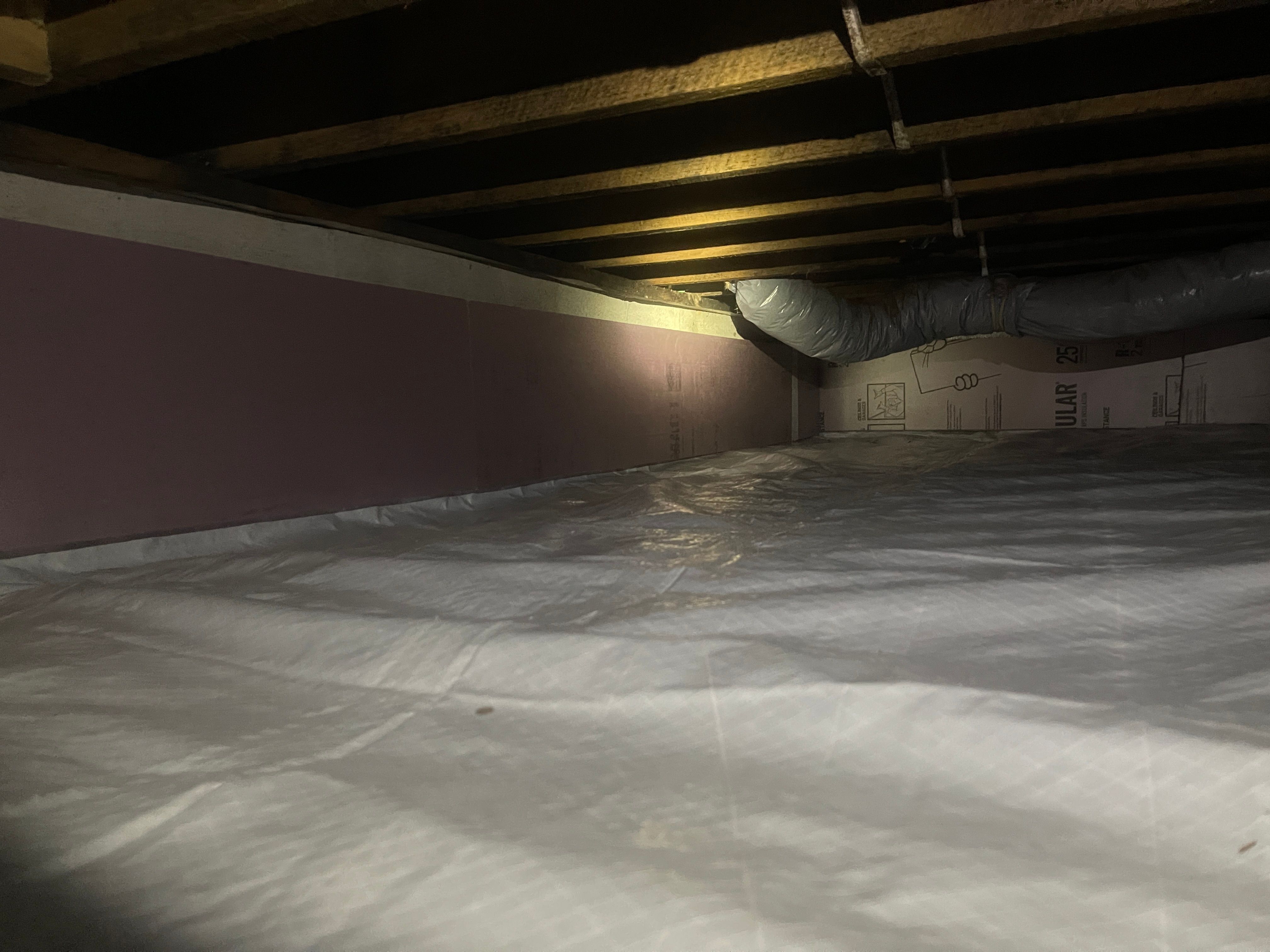  for All-In Pest Control & Home Solutions in Greene County, IN