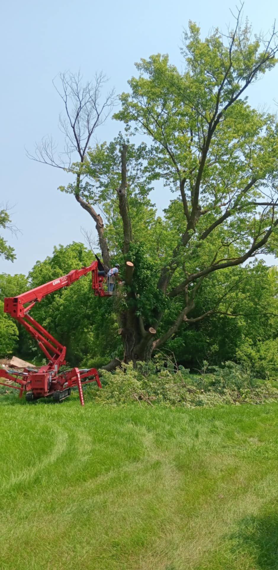  for Lawn Ranger Yard And Tree Service LLC in Ottumwa, IA