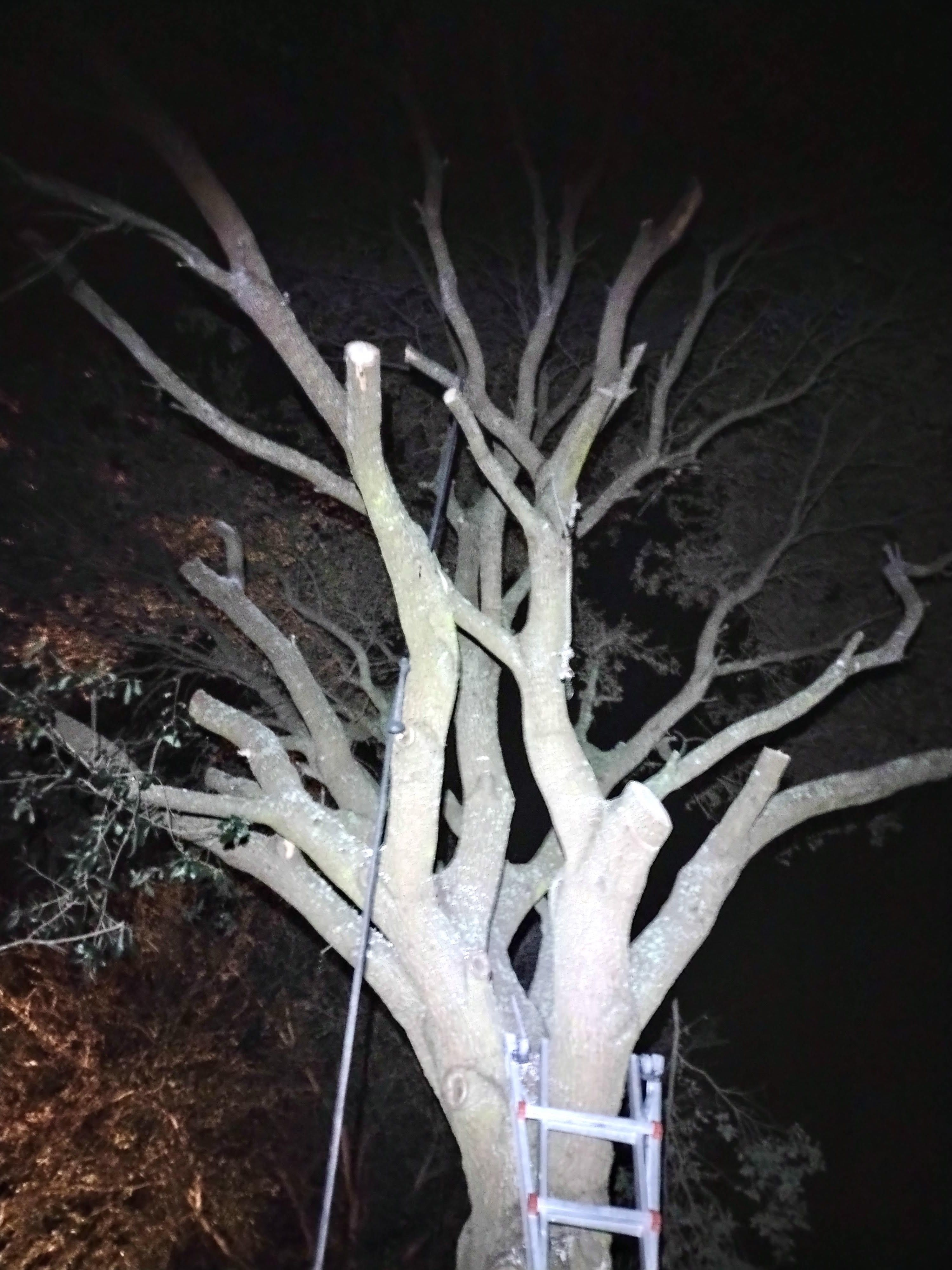  for Joel's Local Handyman Services in Clermont, FL