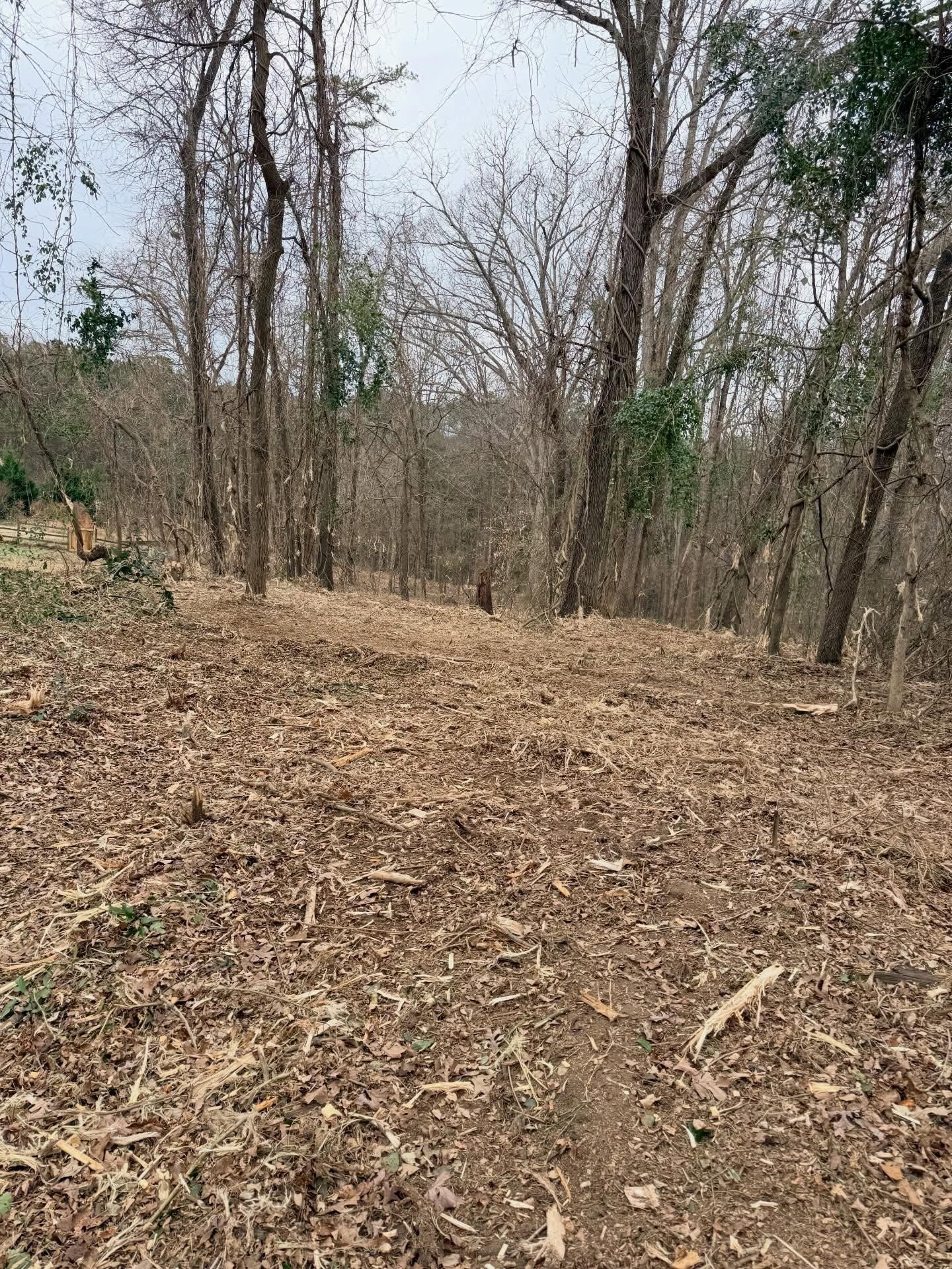  for T Crane Grading LLC in Clarkesville, GA